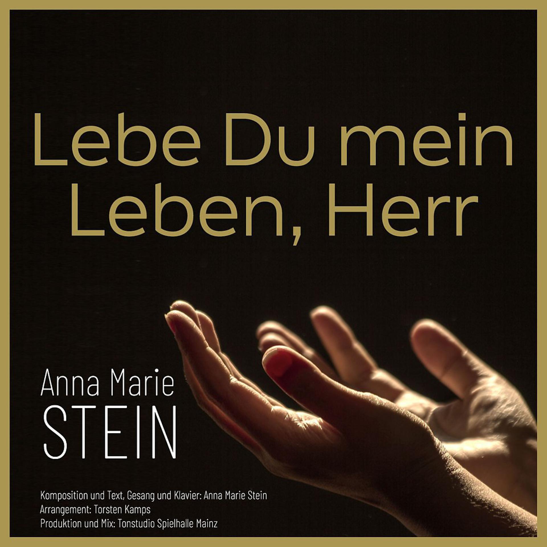 Постер альбома Lebe Du mein Leben, Herr