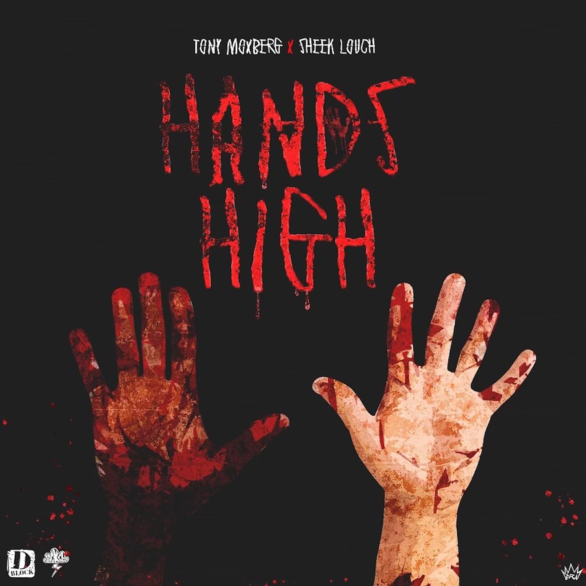 Постер альбома Hands High