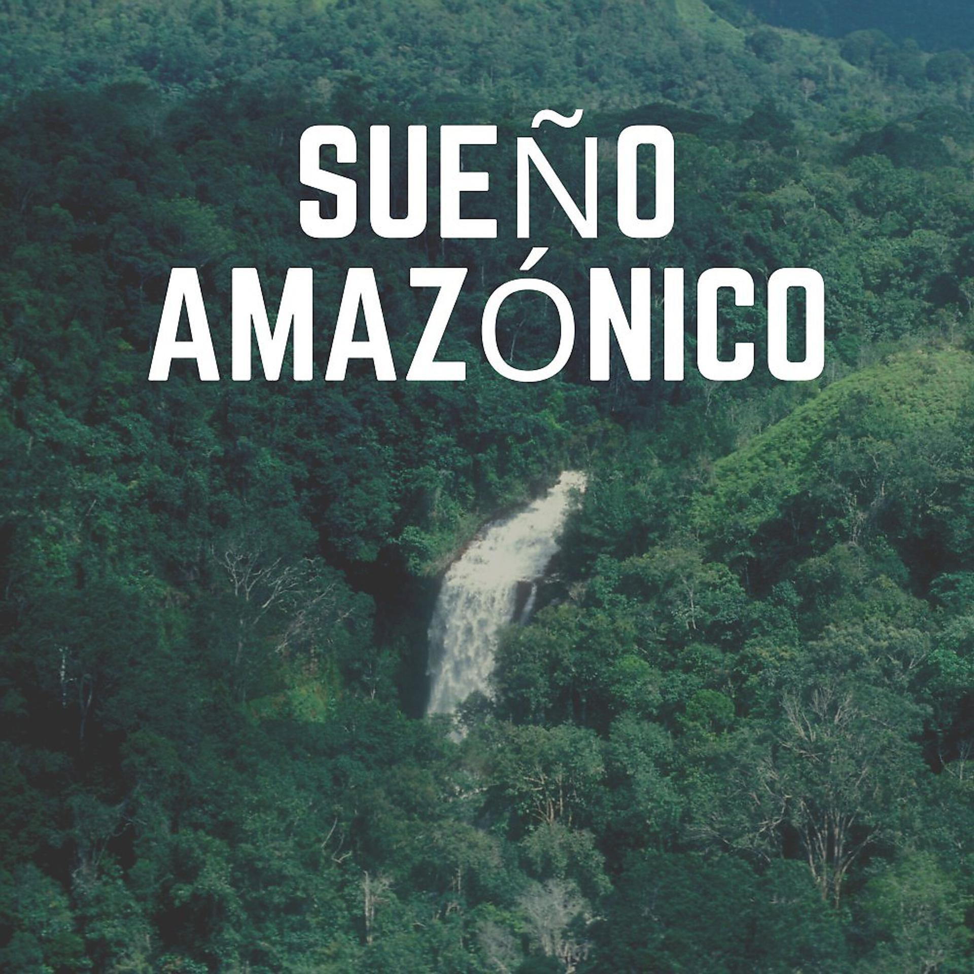 Постер альбома Sueño Amazónico