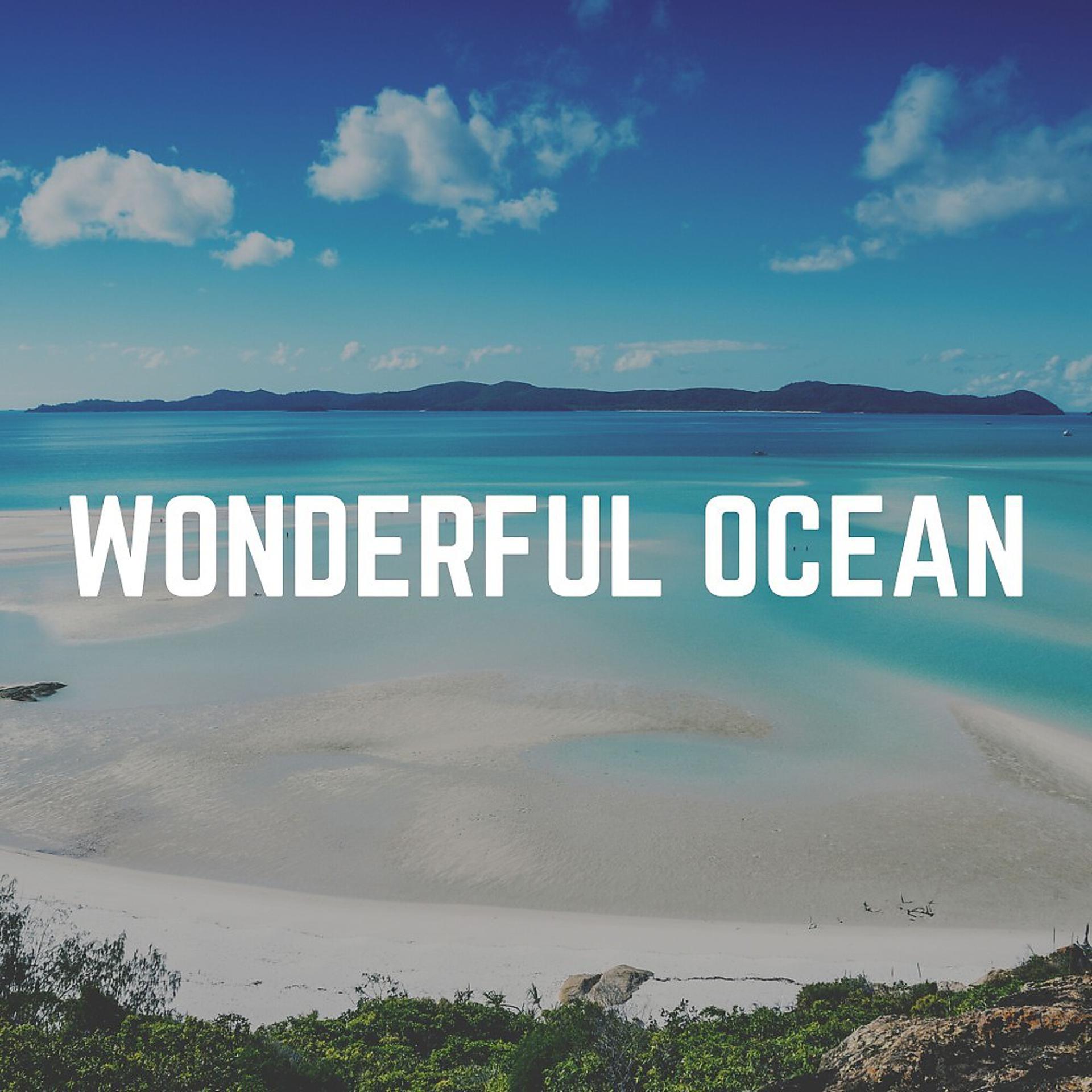 Постер альбома Wonderful Ocean