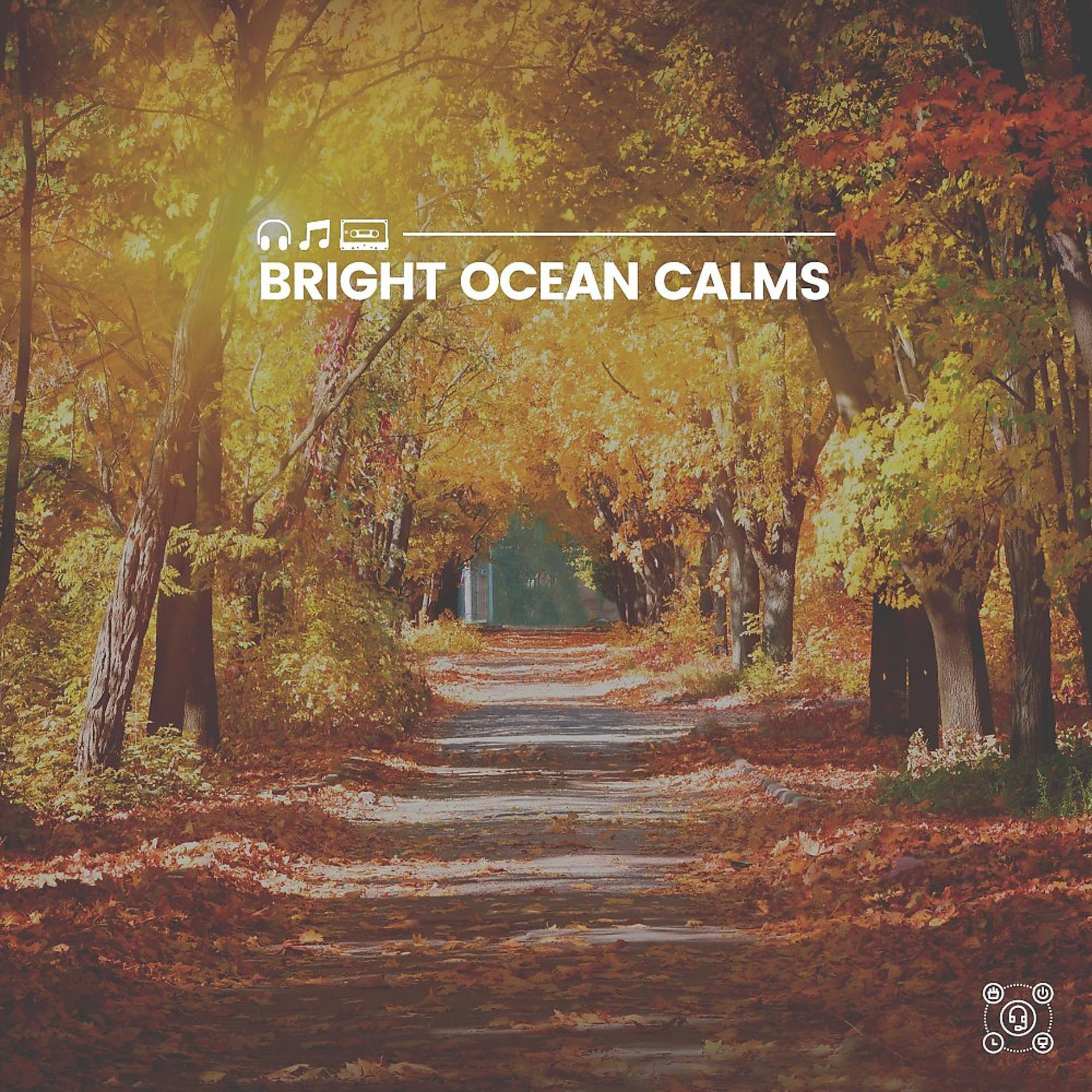Постер альбома Bright Ocean Calms
