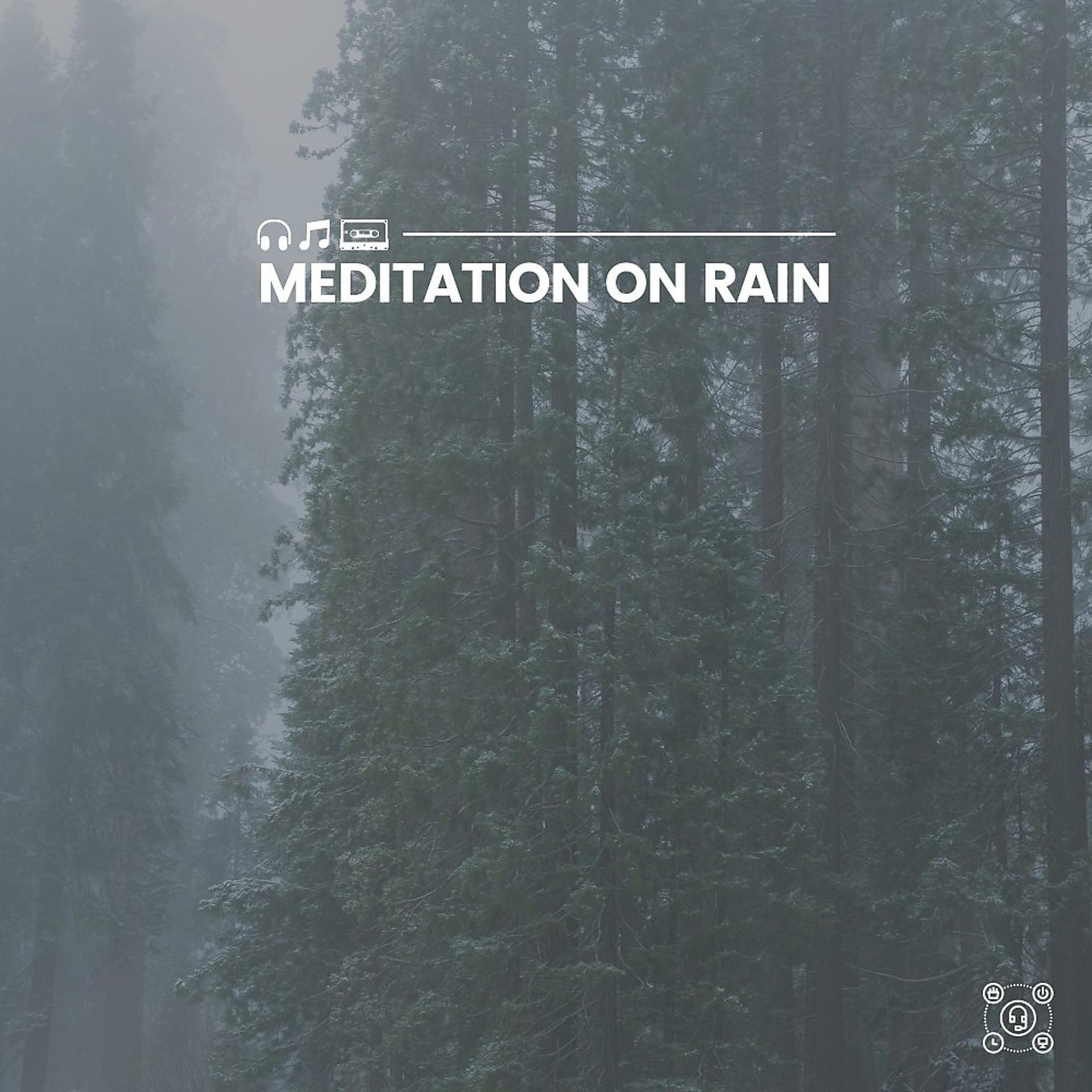 Постер альбома Meditation on Rain