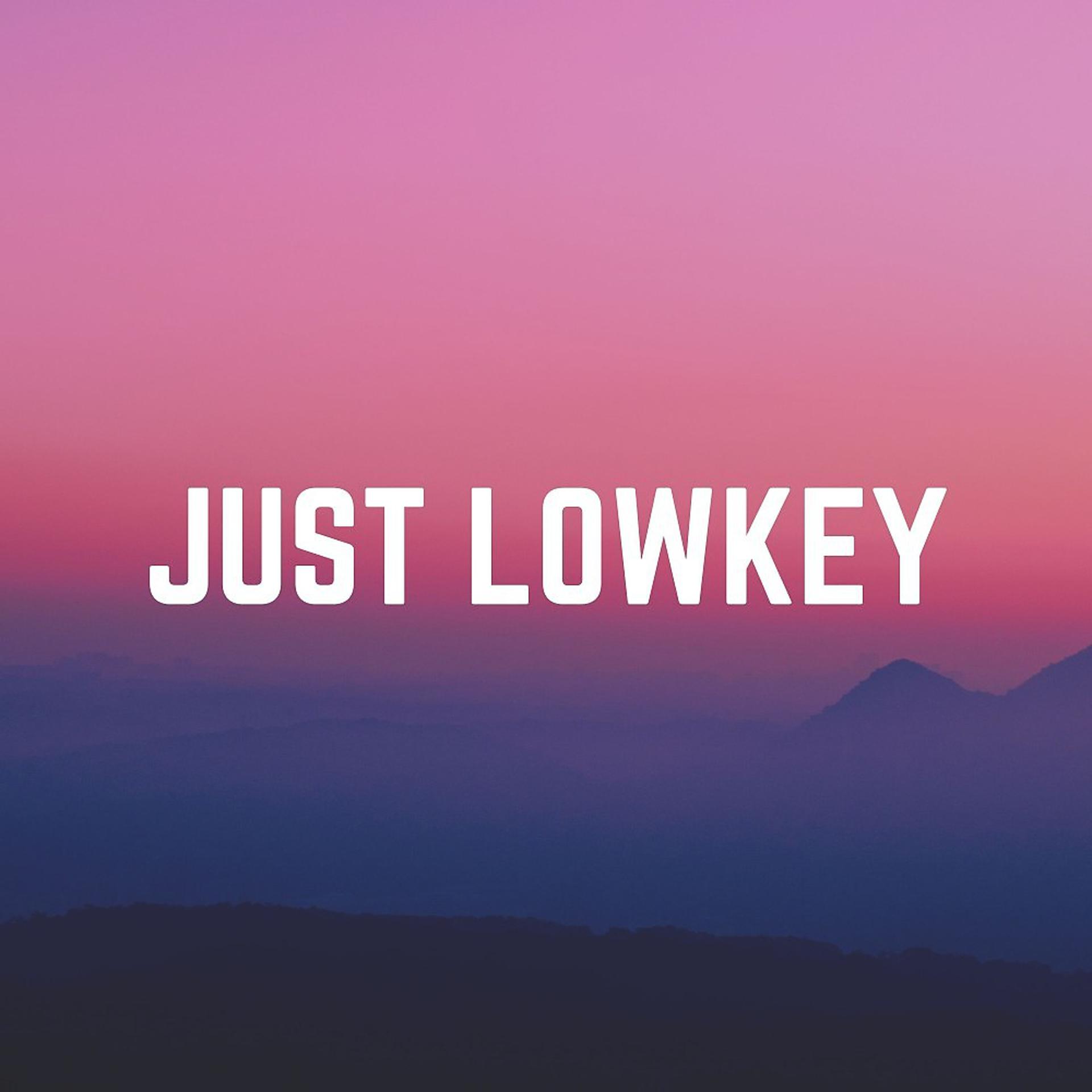 Постер альбома Just Lowkey
