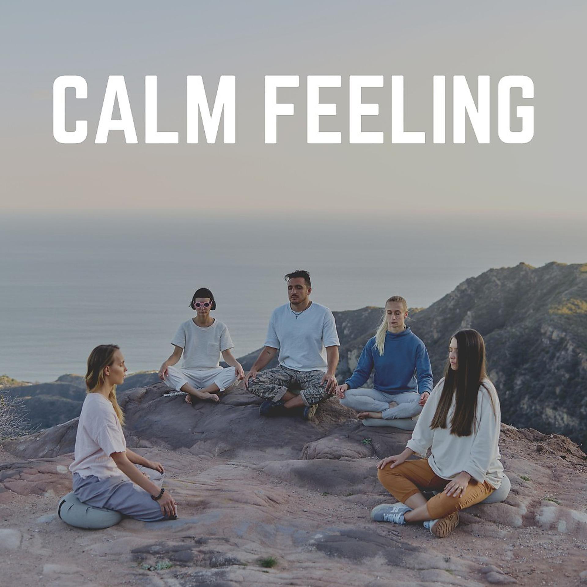 Постер альбома Calm Feeling