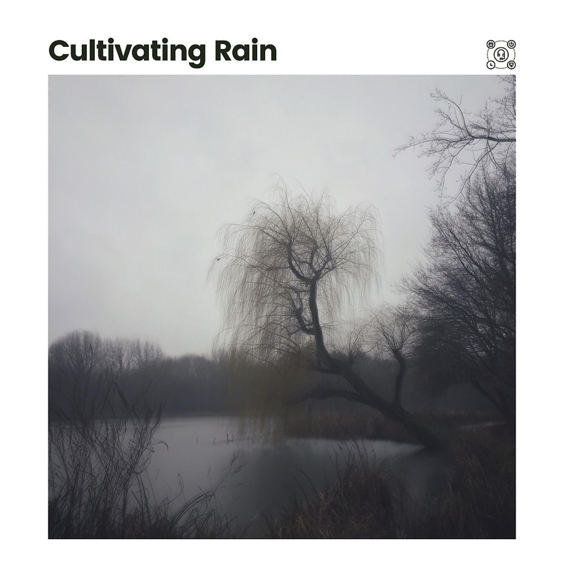 Постер альбома Cultivating Rain
