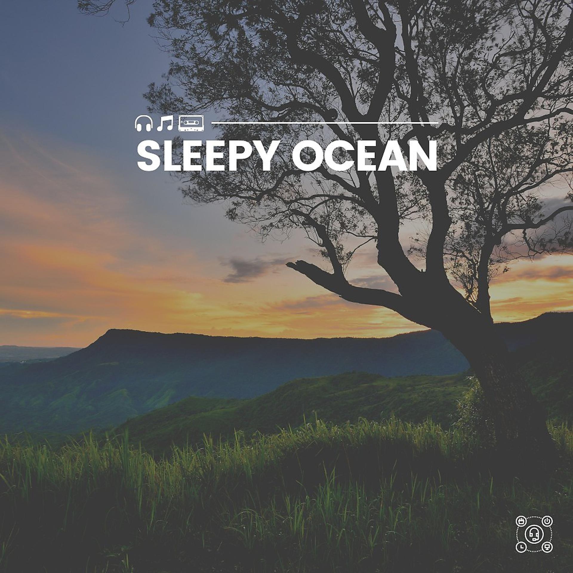 Постер альбома Sleepy Ocean