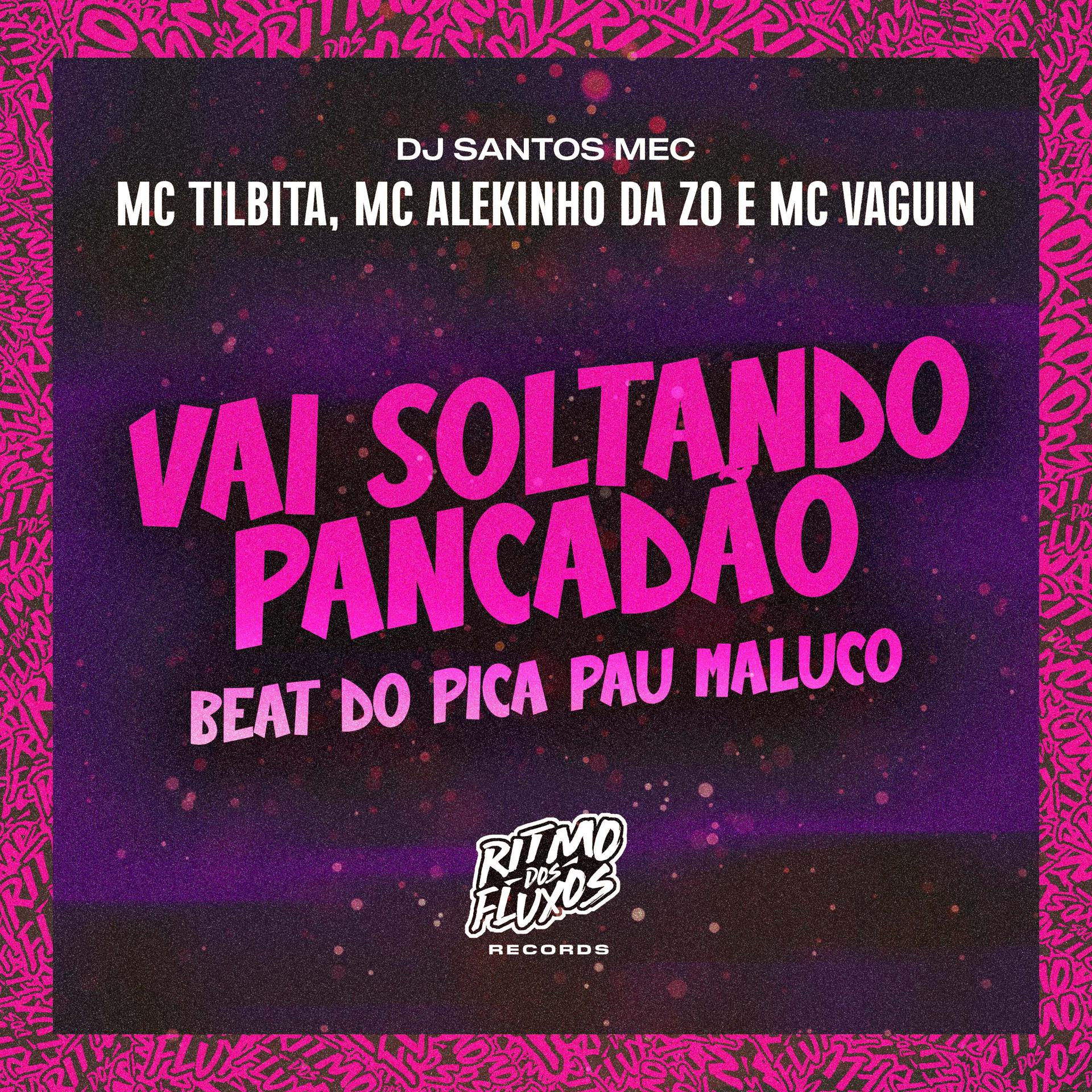 Постер альбома Vai Soltando Pancadão - Beat do Pica Pau Maluco