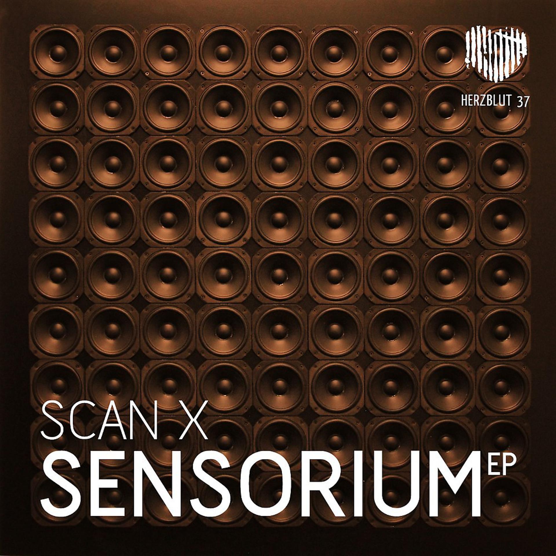 Постер альбома Sensorium