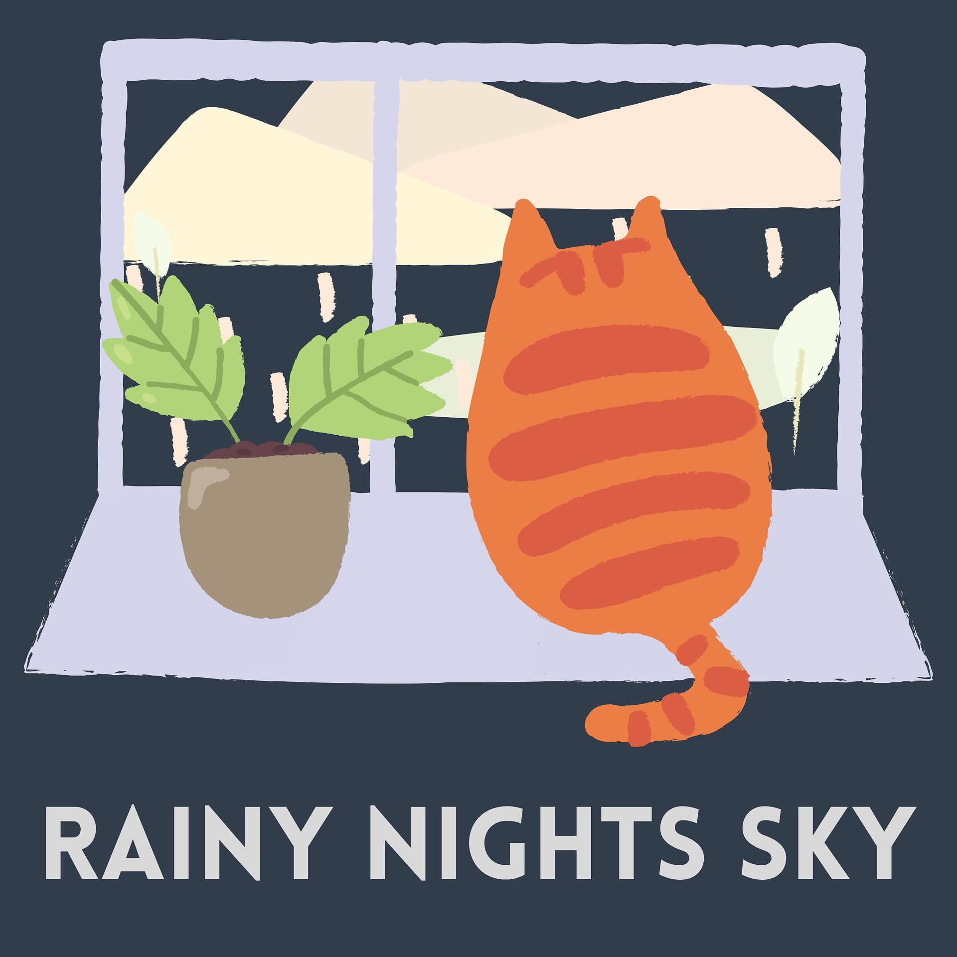 Постер альбома Rainy Nights Sky