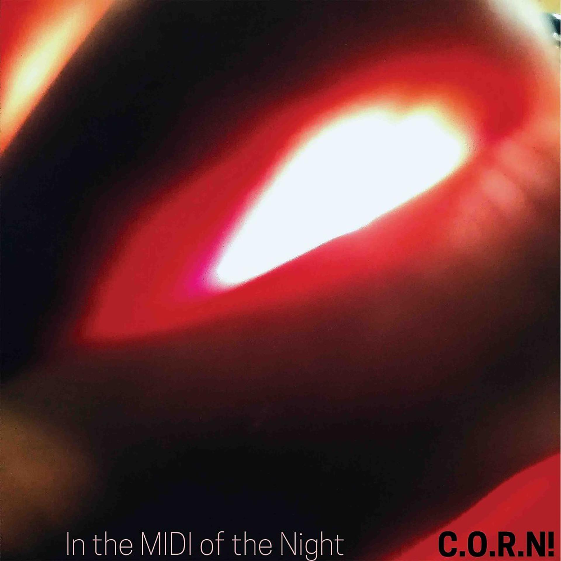 Постер альбома In the Midi of the Night