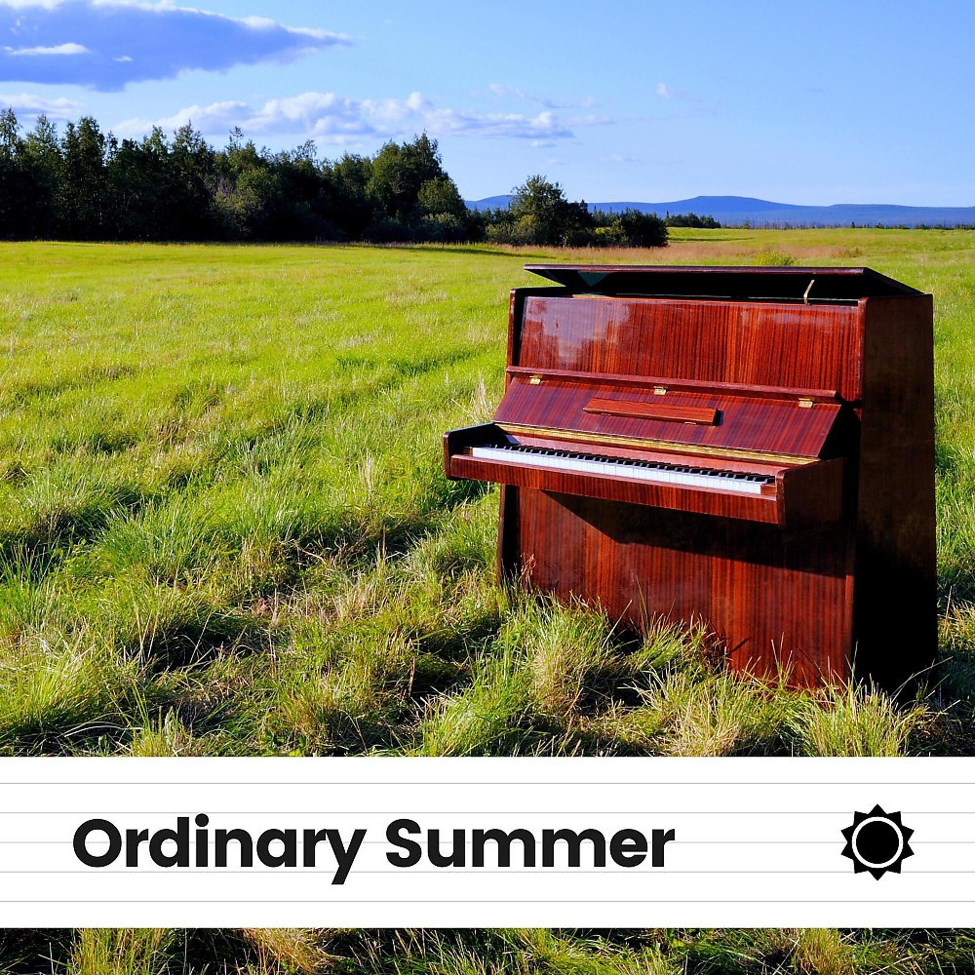 Постер альбома Ordinary Summer