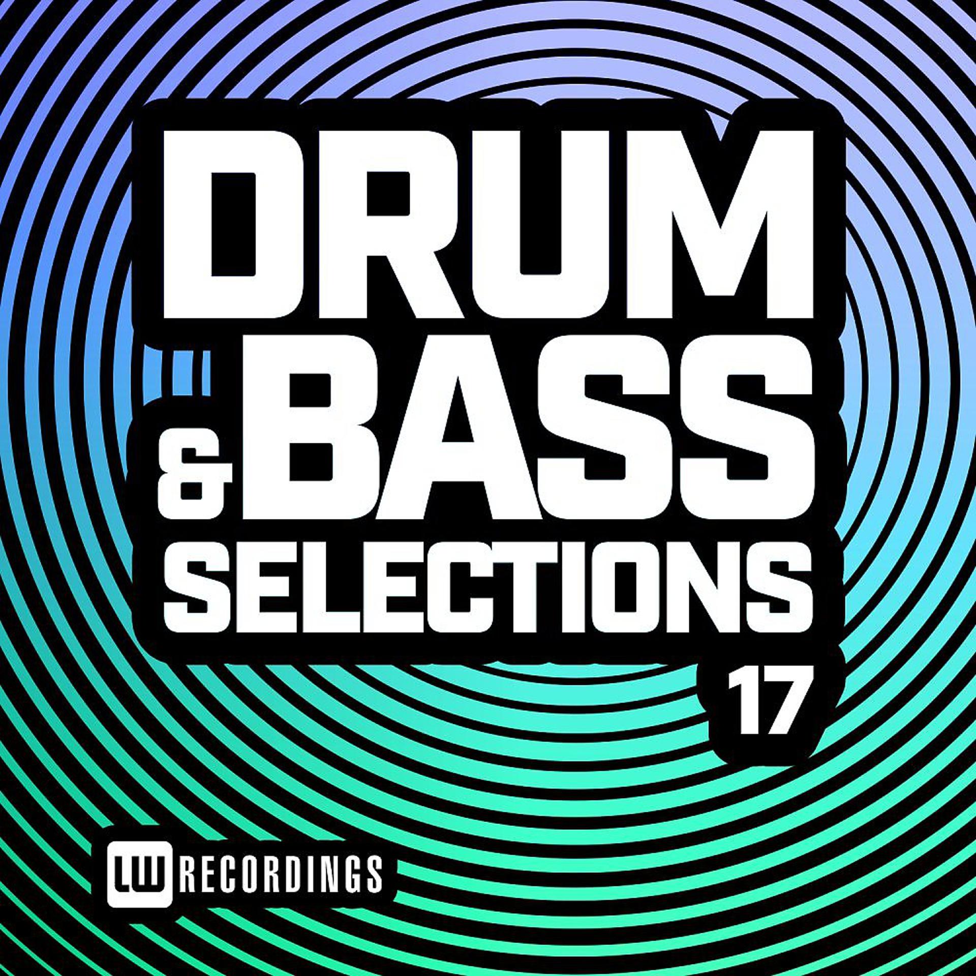 Постер альбома Drum & Bass Selections, Vol. 17
