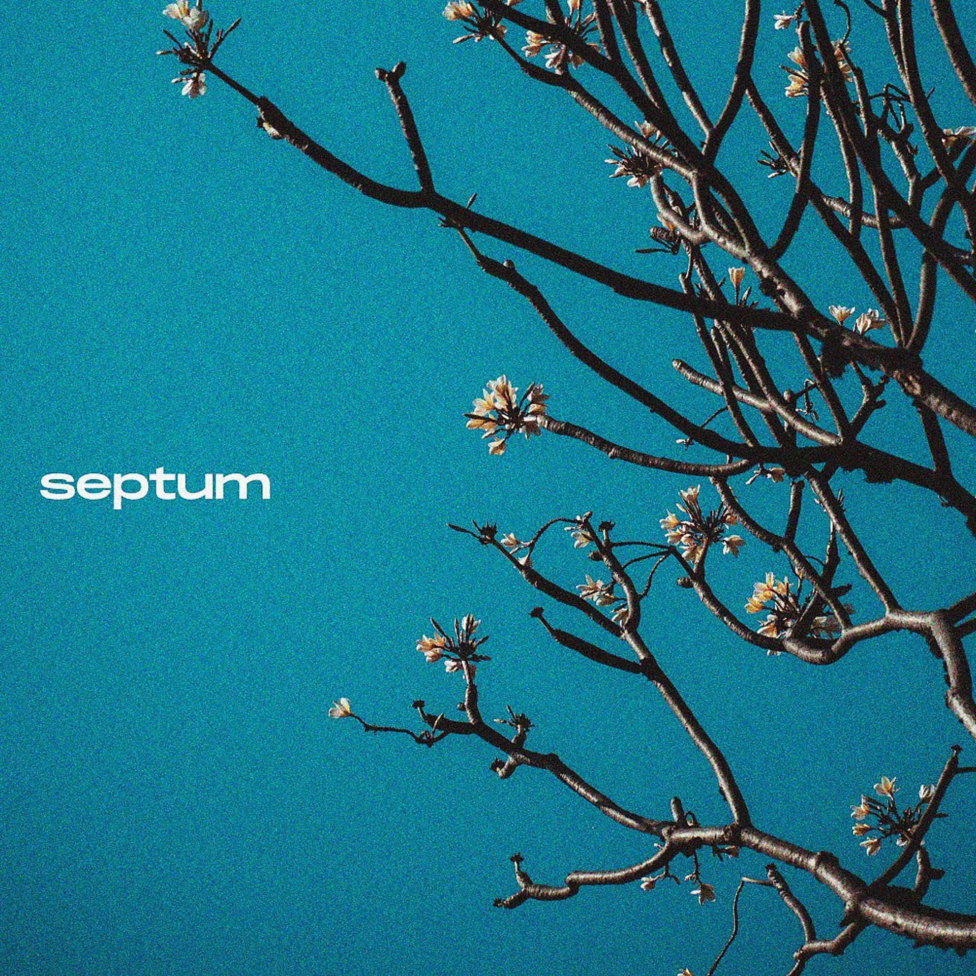 Постер альбома Septum