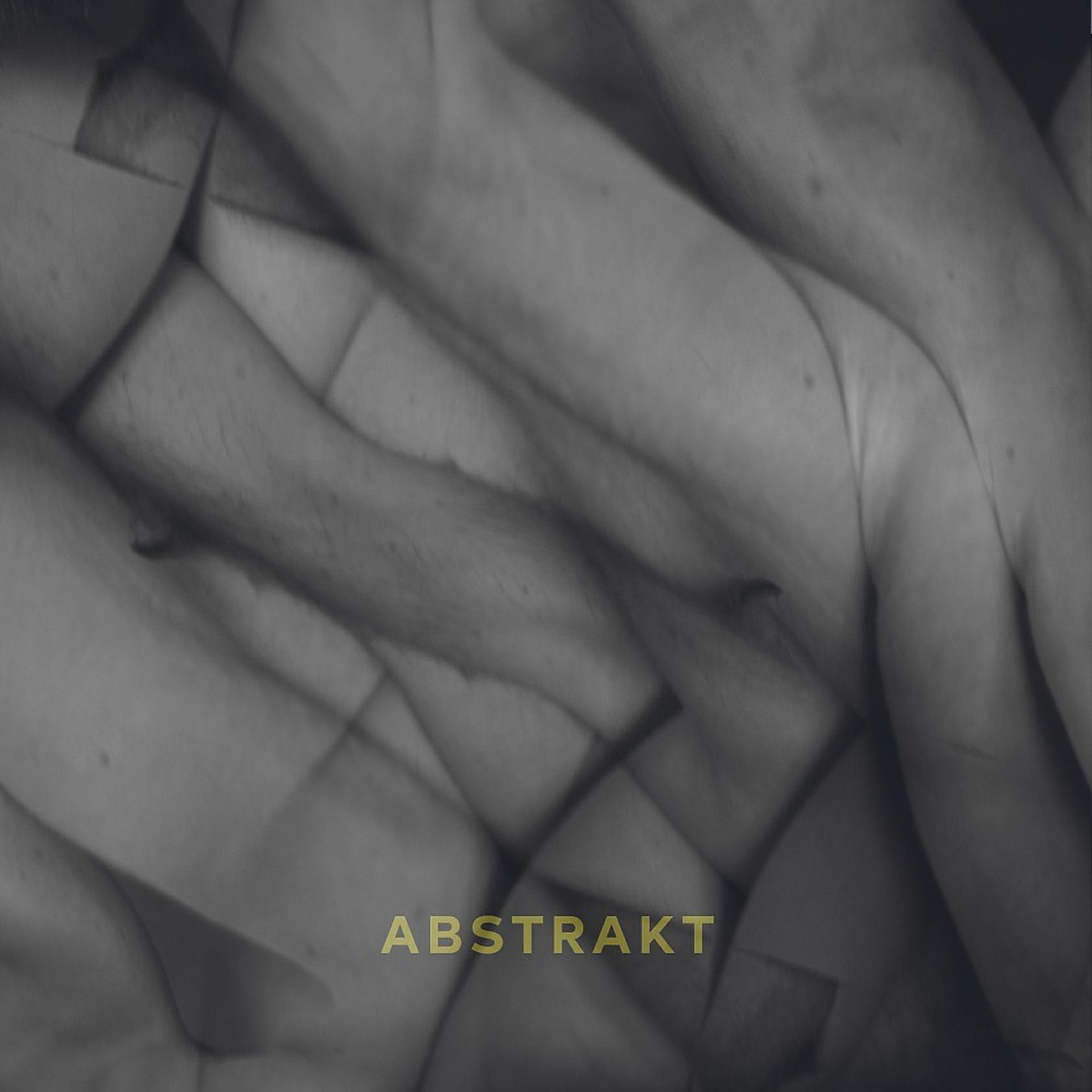 Постер альбома Abstrakt