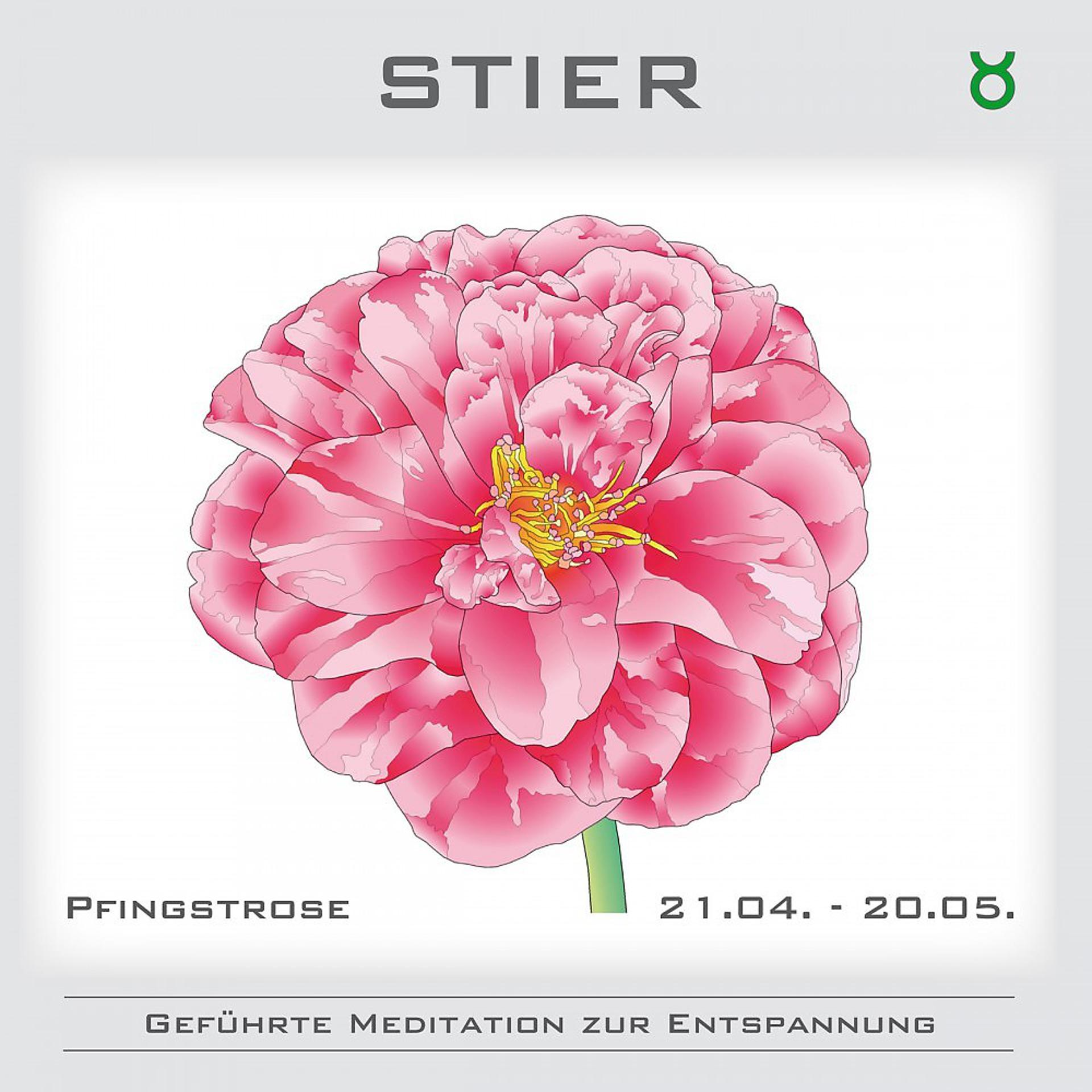Постер альбома Geführte Meditation zur Entspannung - Sternzeichen Stier