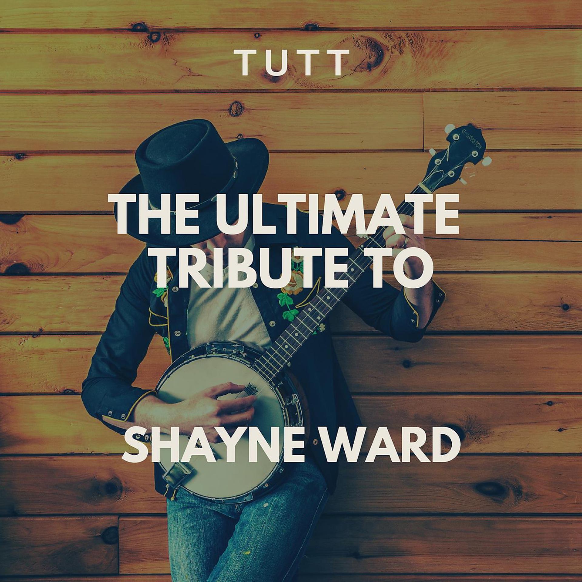 Постер альбома The Ultimate Tribute To Shayne Ward