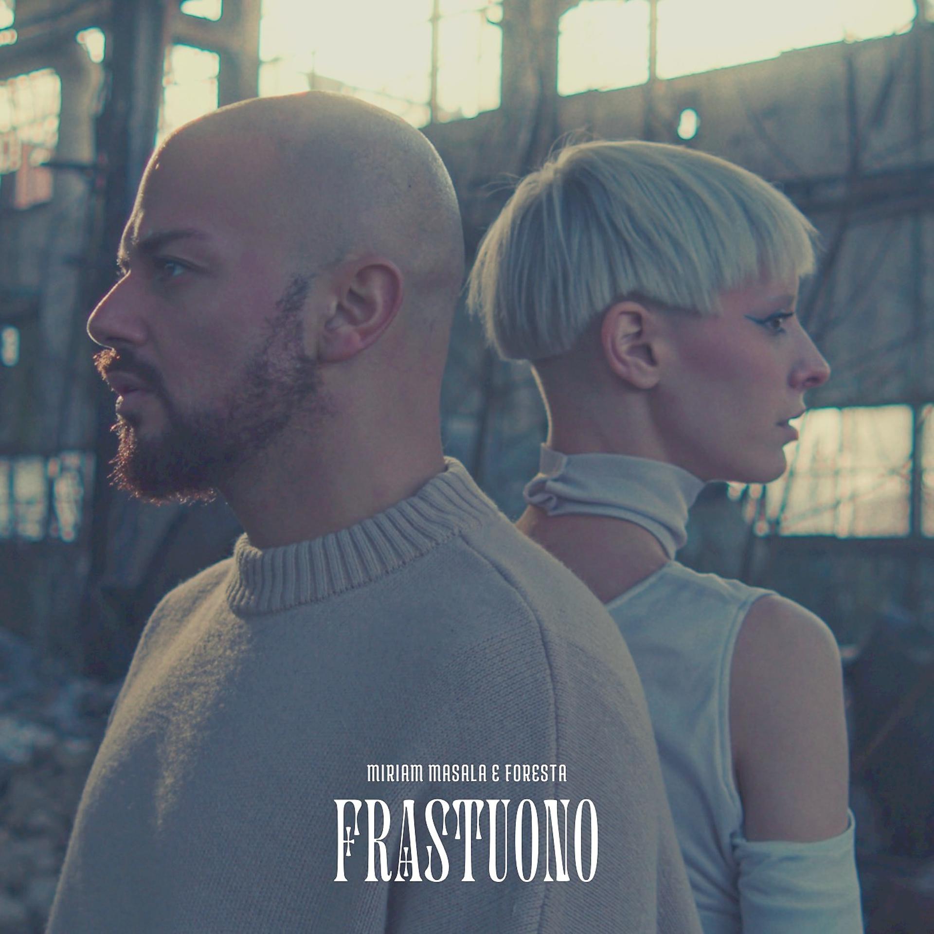 Постер альбома Frastuono