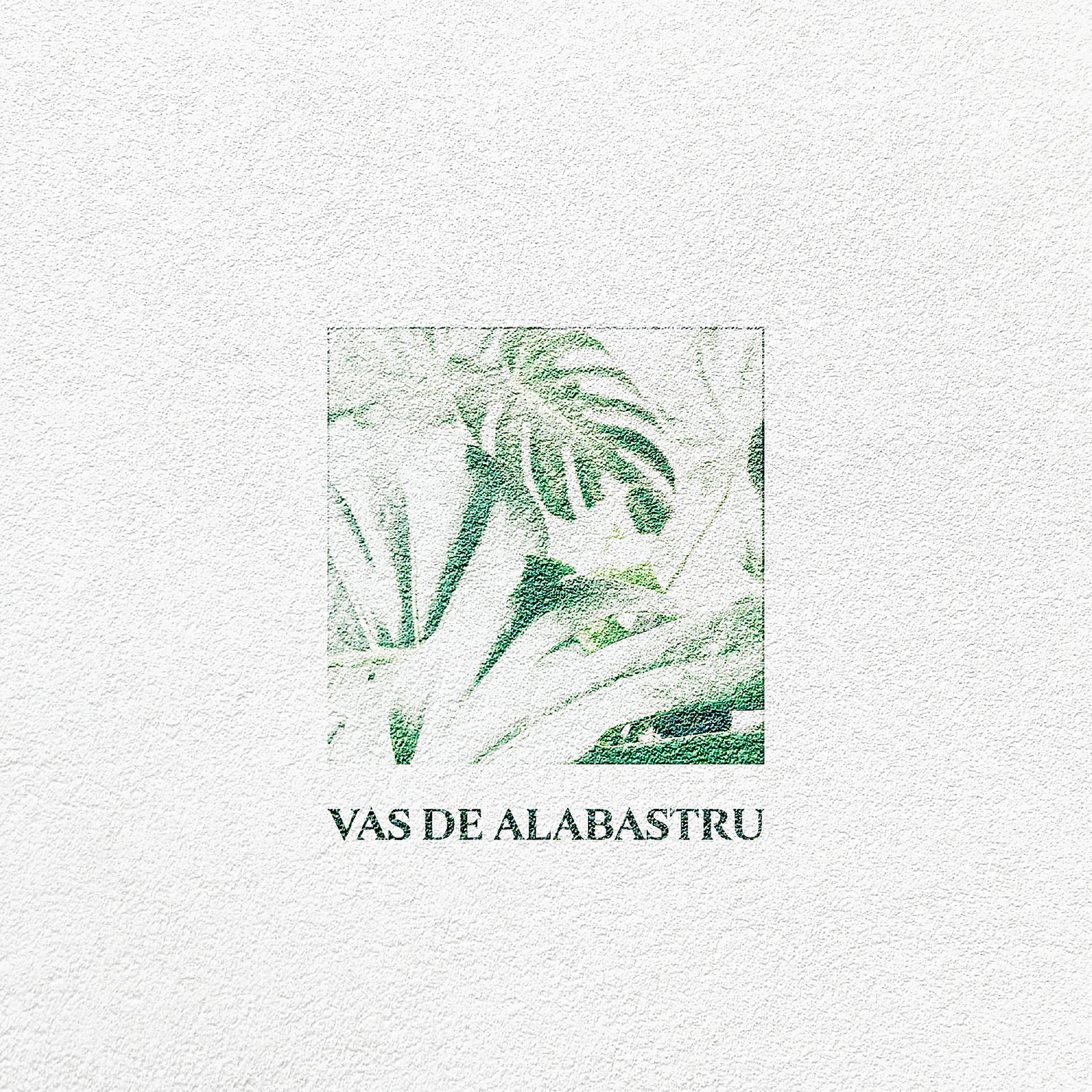 Постер альбома Vas De Alabastru