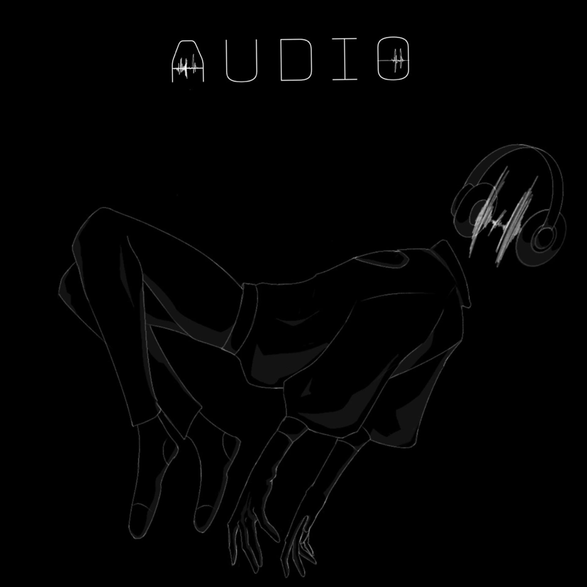 Постер альбома Audio
