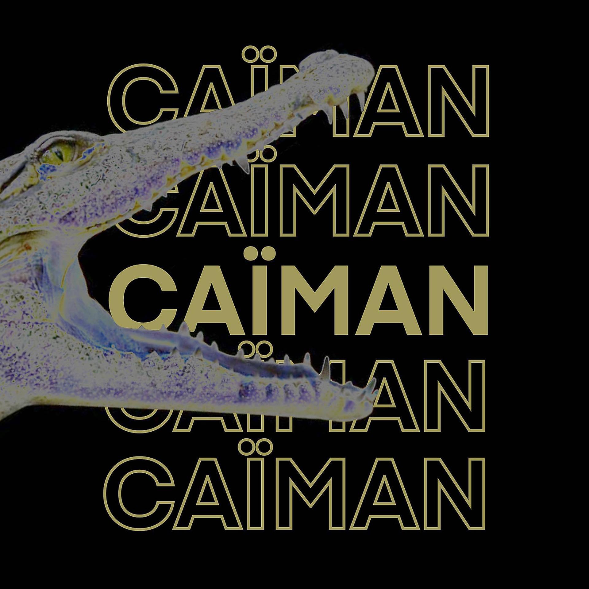 Постер альбома Caïman
