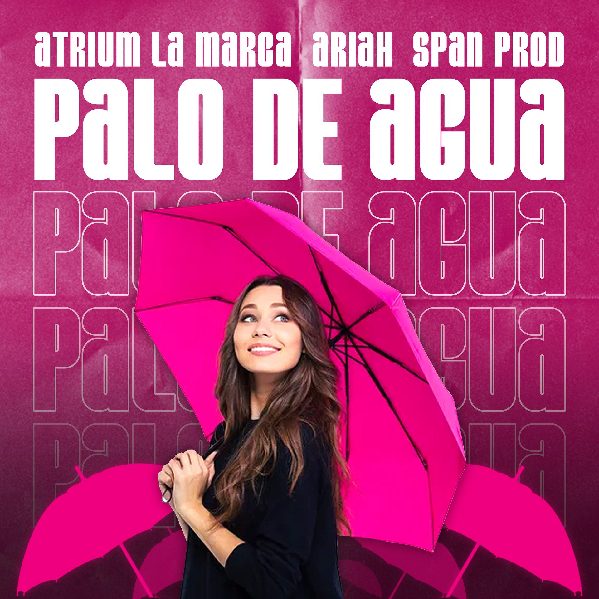 Постер альбома Palo de Agua