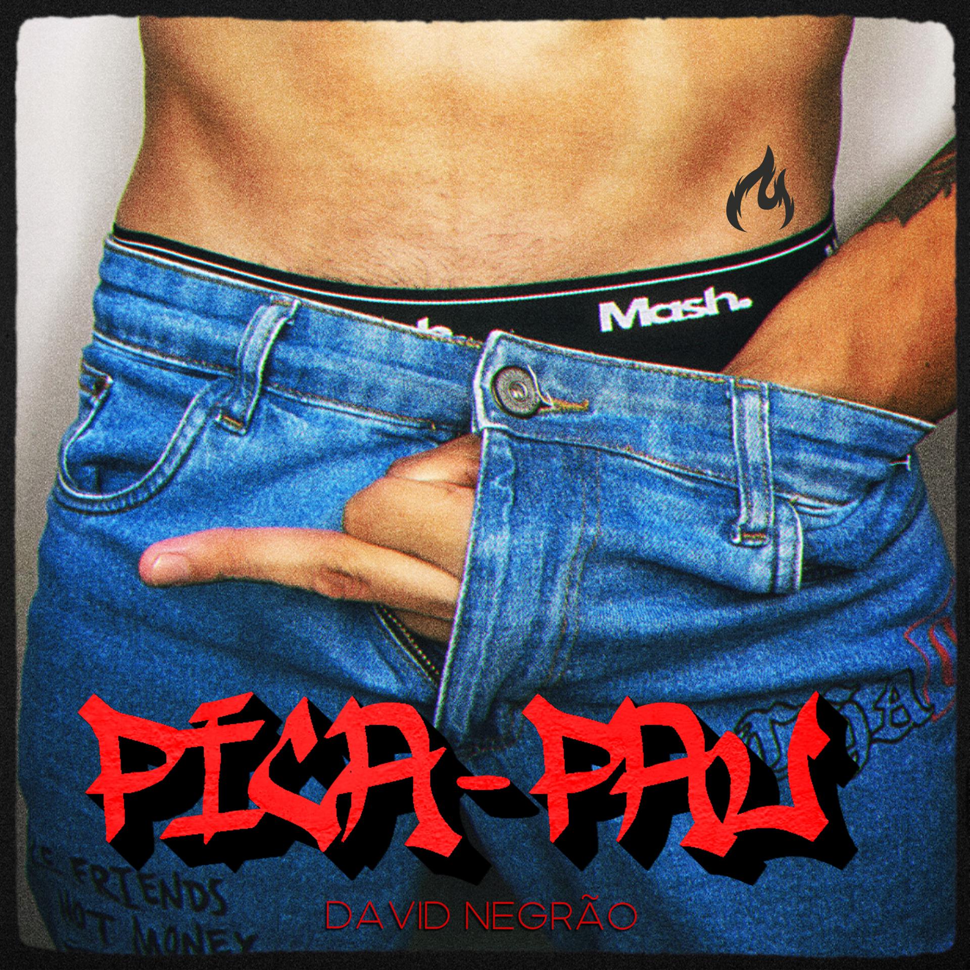 Постер альбома Pica Pau