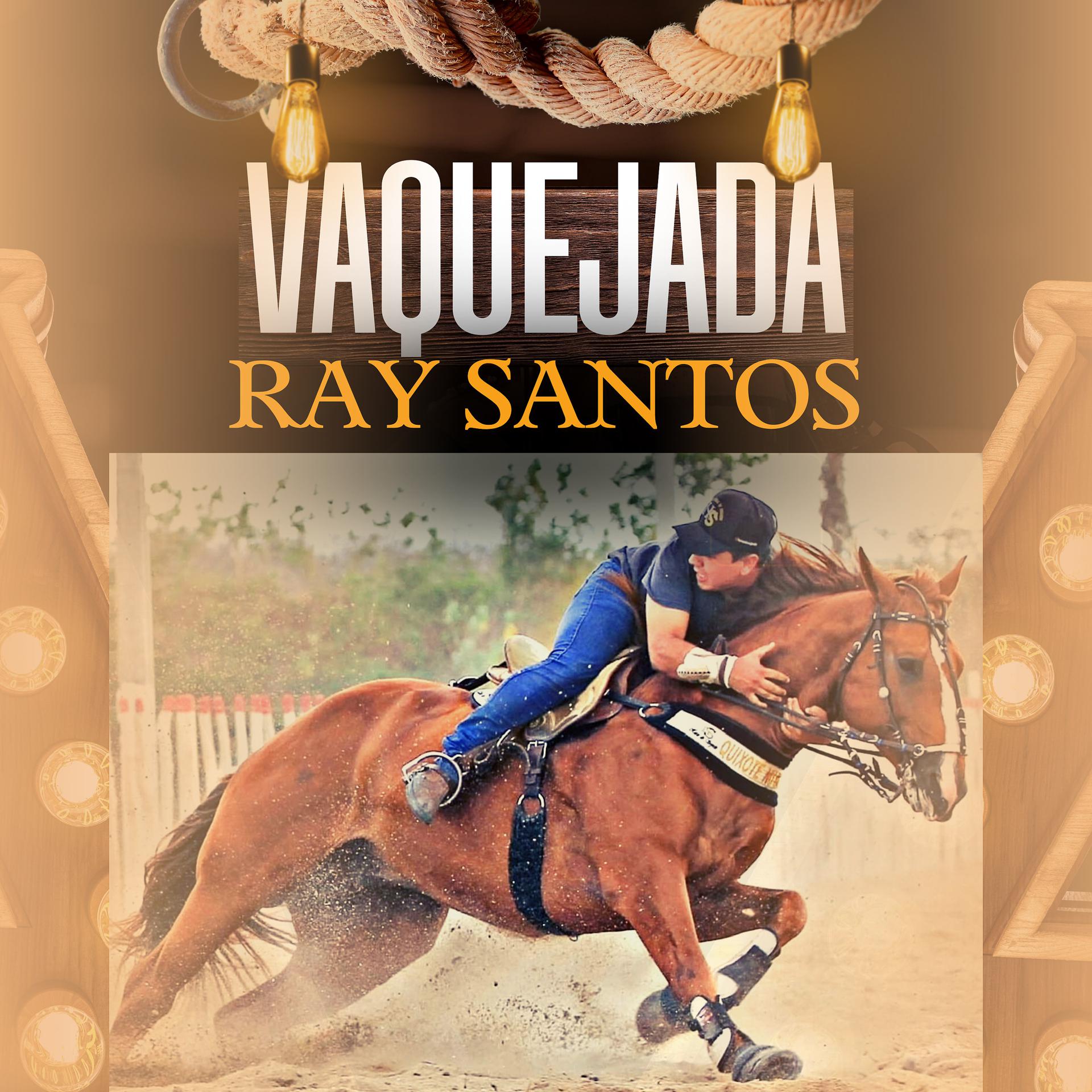 Постер альбома Vaquejada