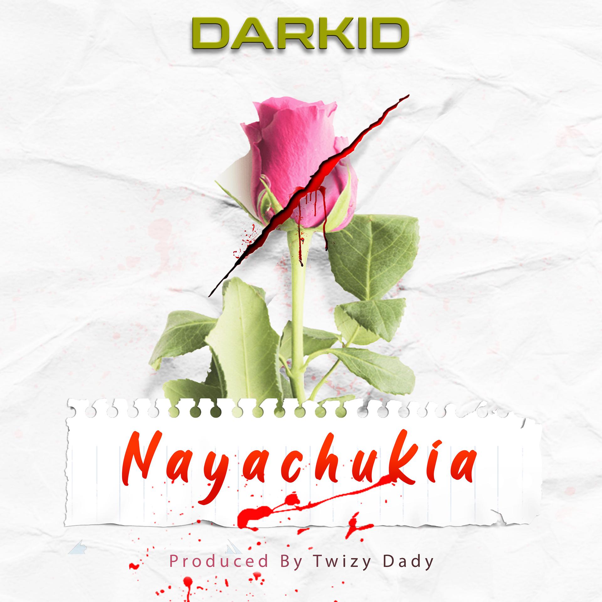 Постер альбома Nayachukia