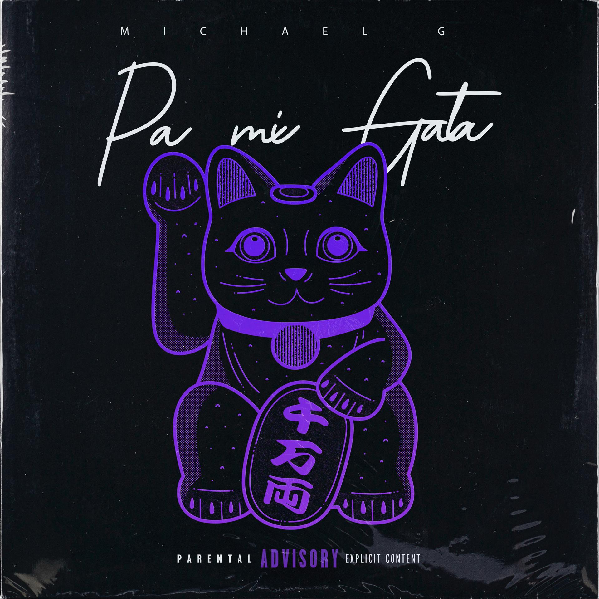 Постер альбома Pa' Mi Gata