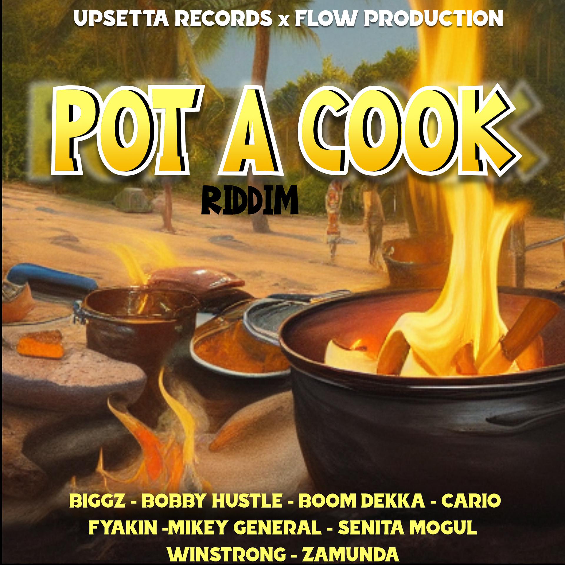 Постер альбома Pot a Cook Riddim