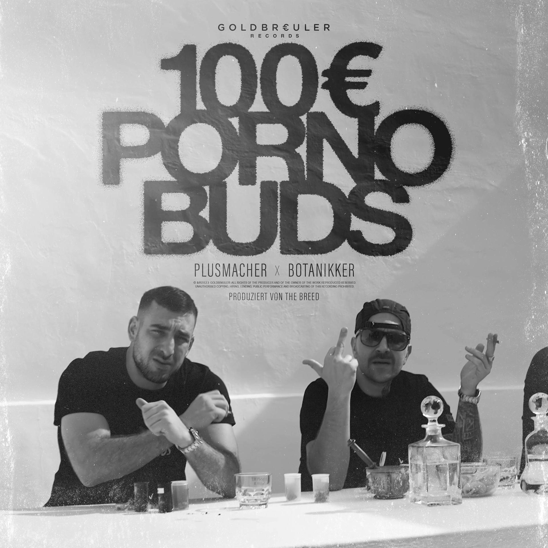 Постер альбома 100 € Porno Buds