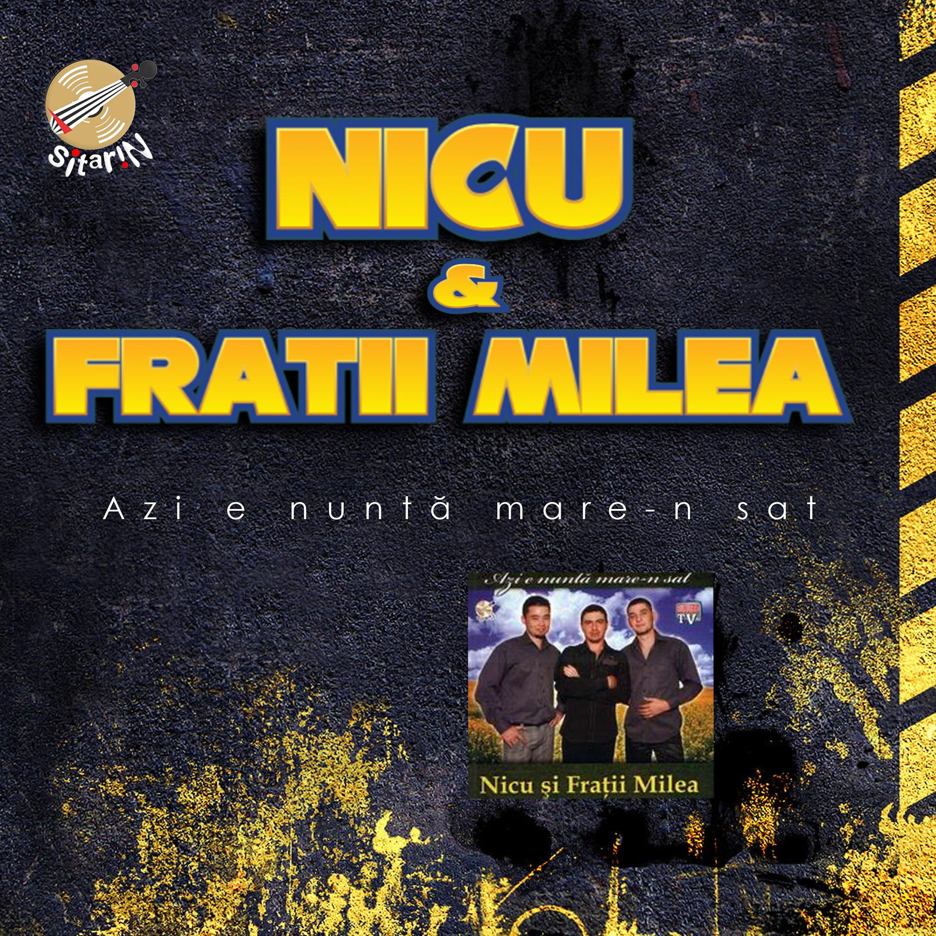 Постер альбома Nicu și Frații Milea