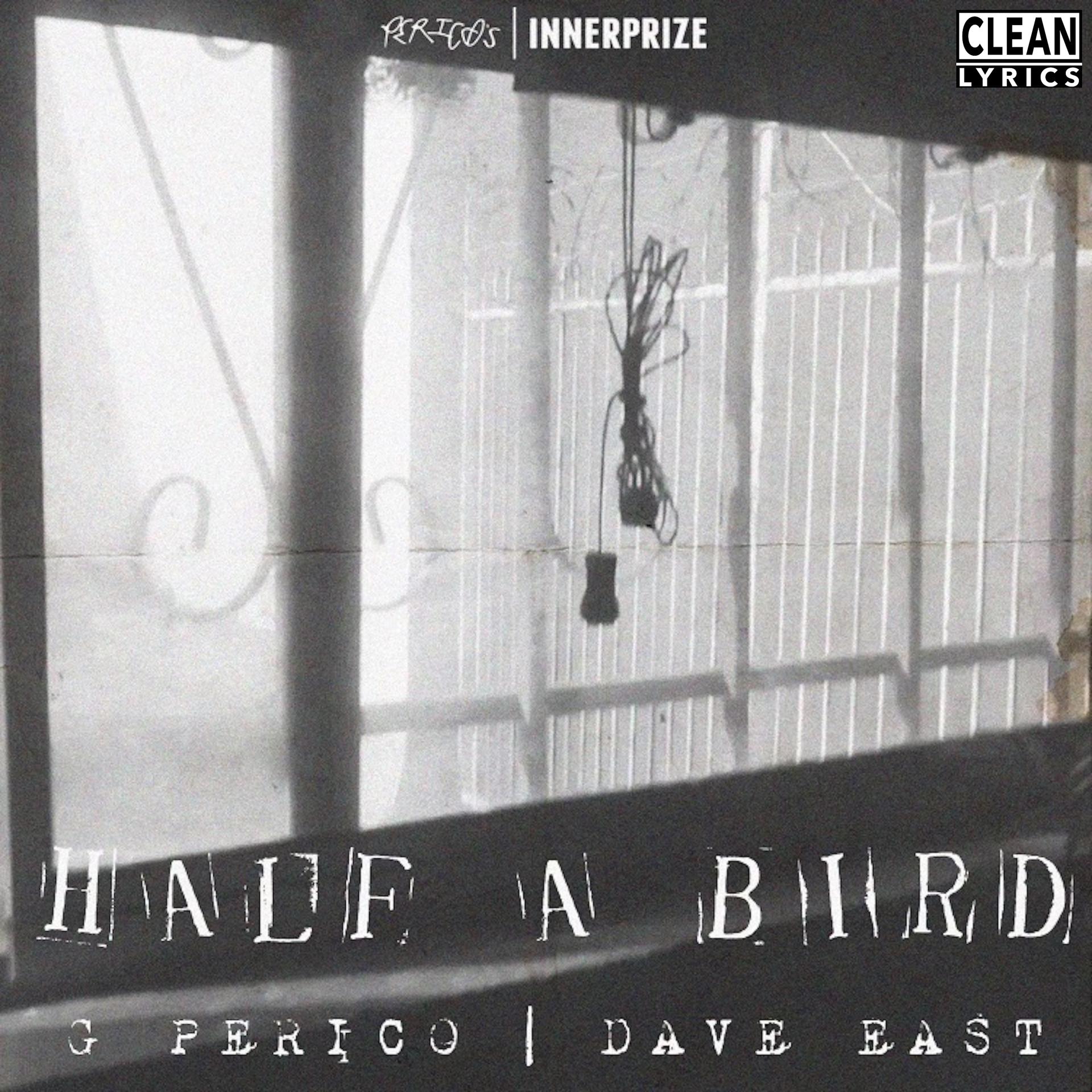 Постер альбома Half A Bird