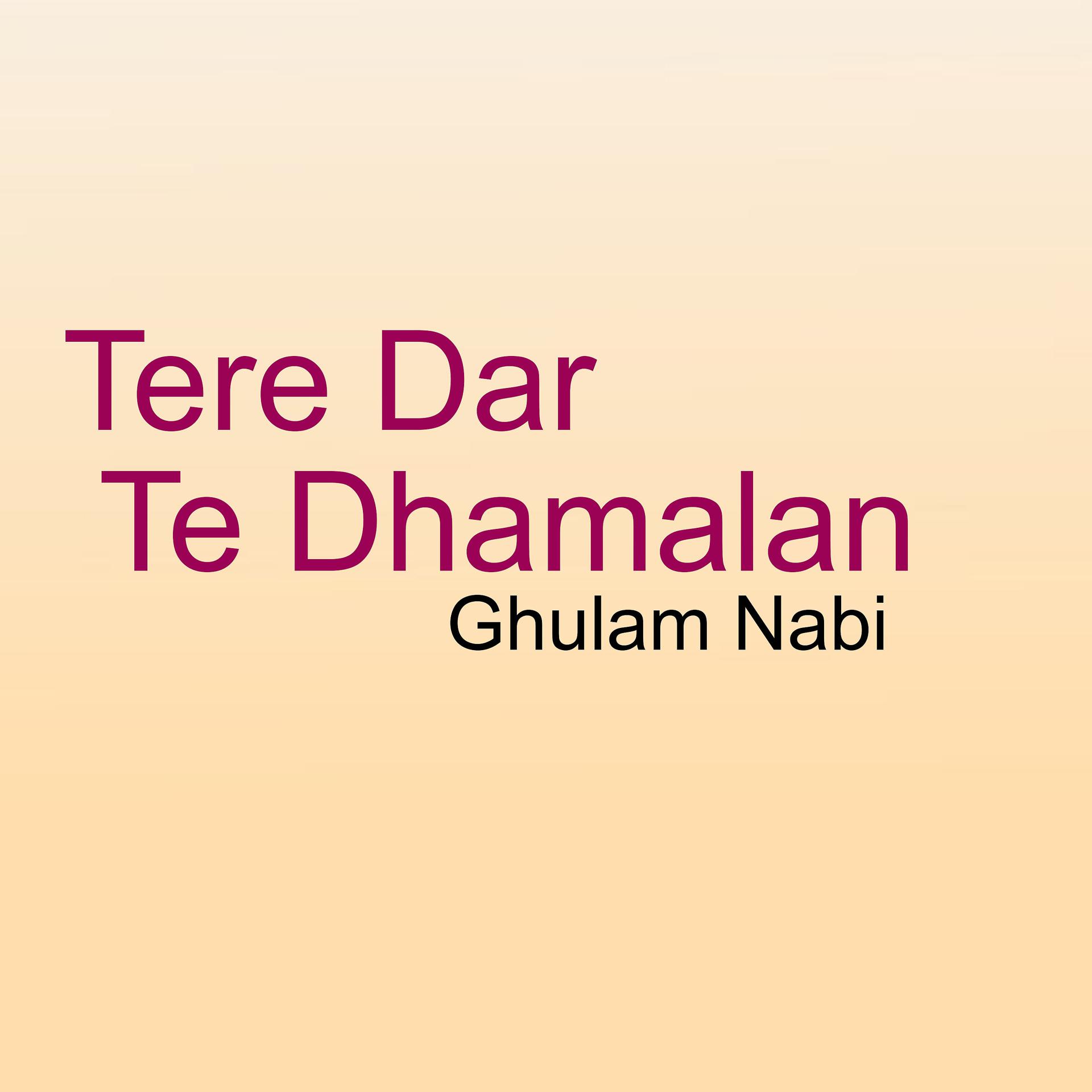 Постер альбома Tere Dar Te Dhamalan