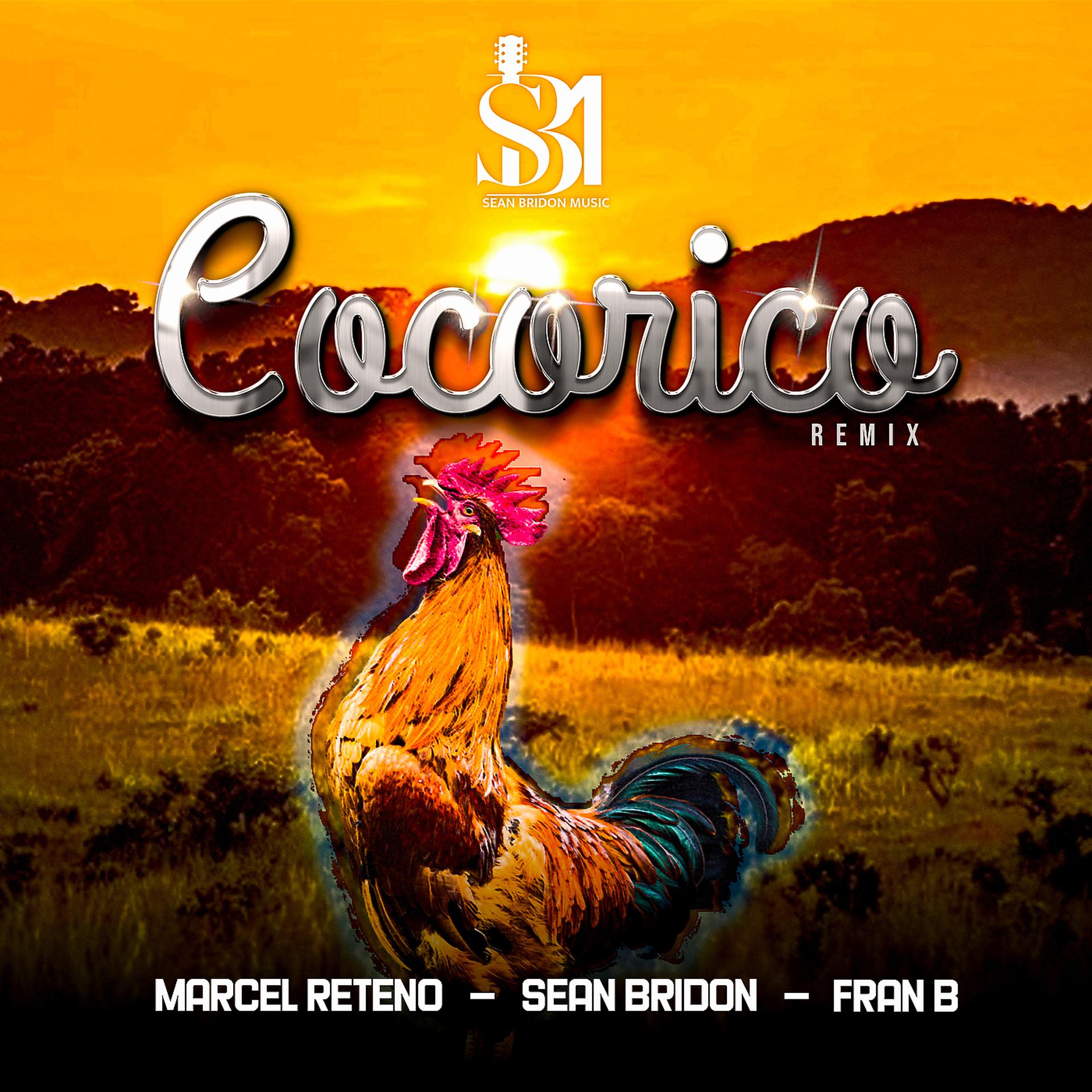 Постер альбома Cocorico (Remix)