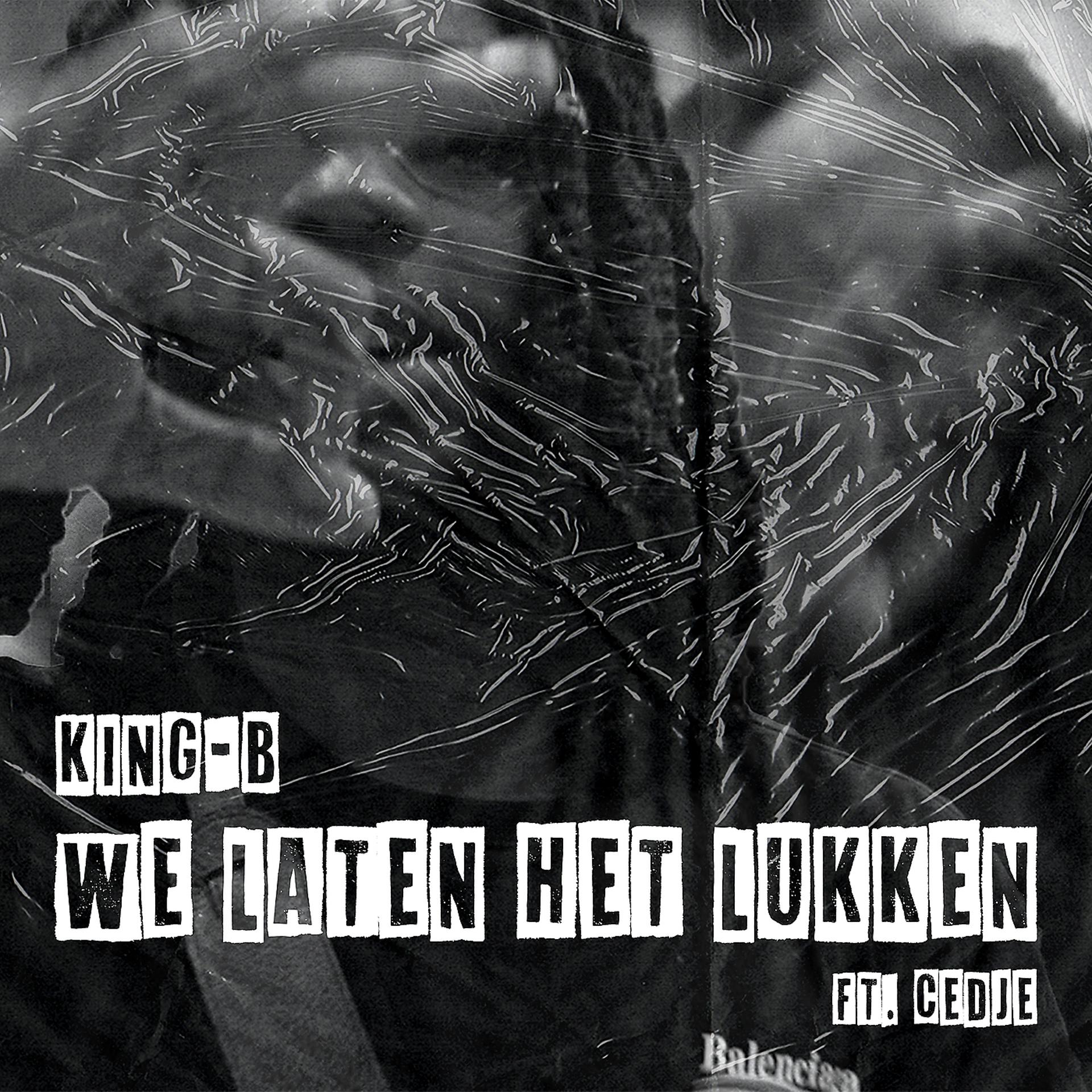 Постер альбома We Laten Het Lukken