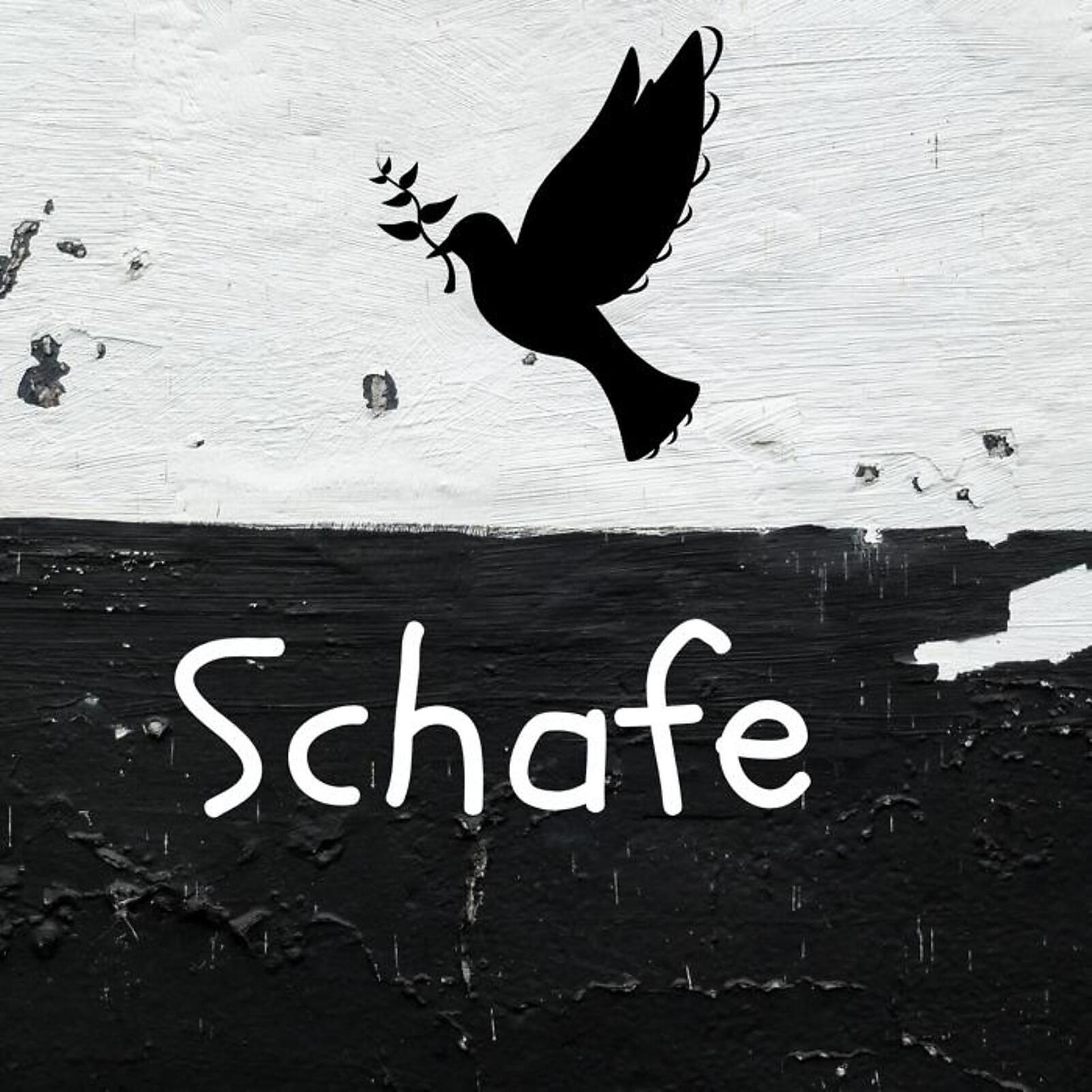 Постер альбома Schafe