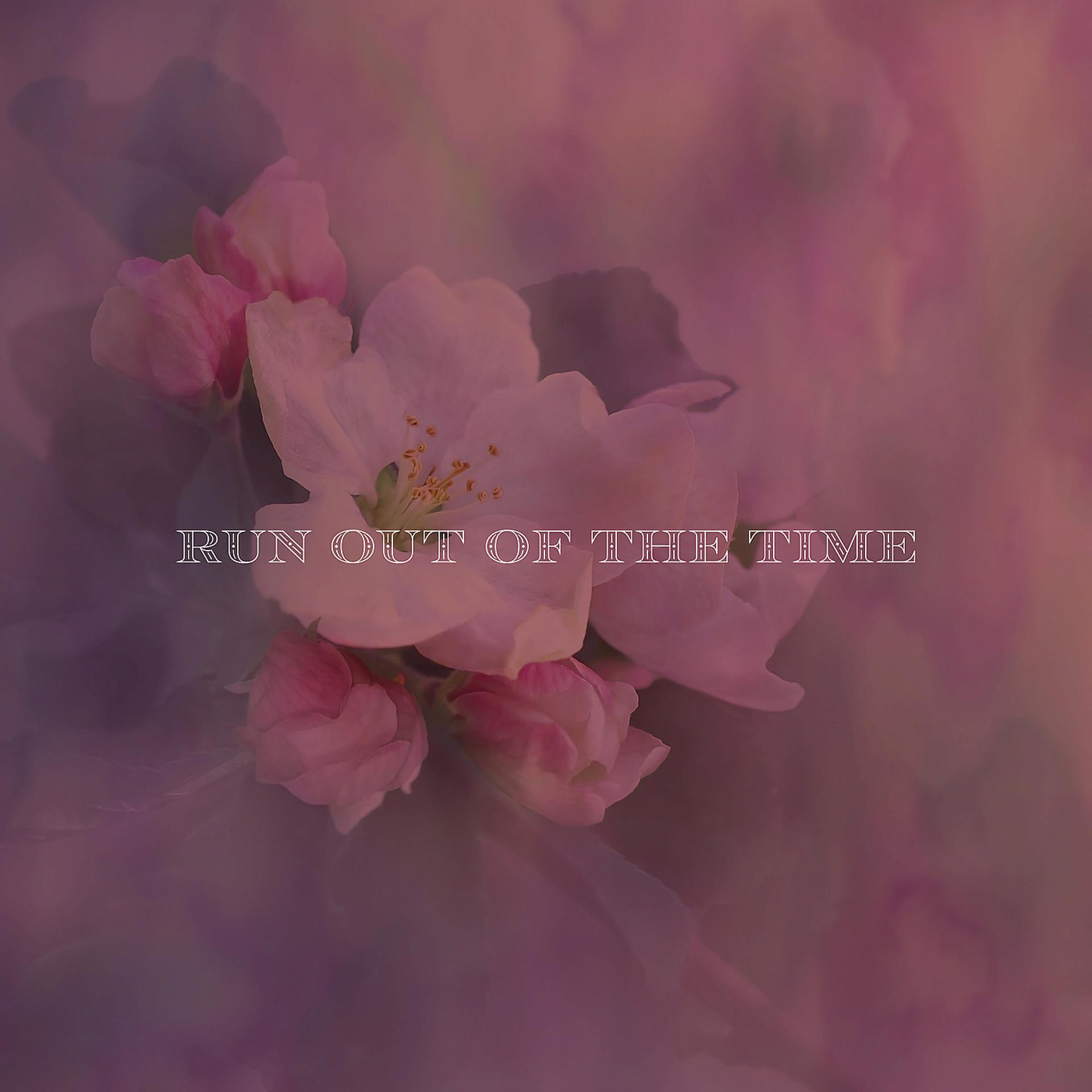 Постер альбома Run Out Of The Time