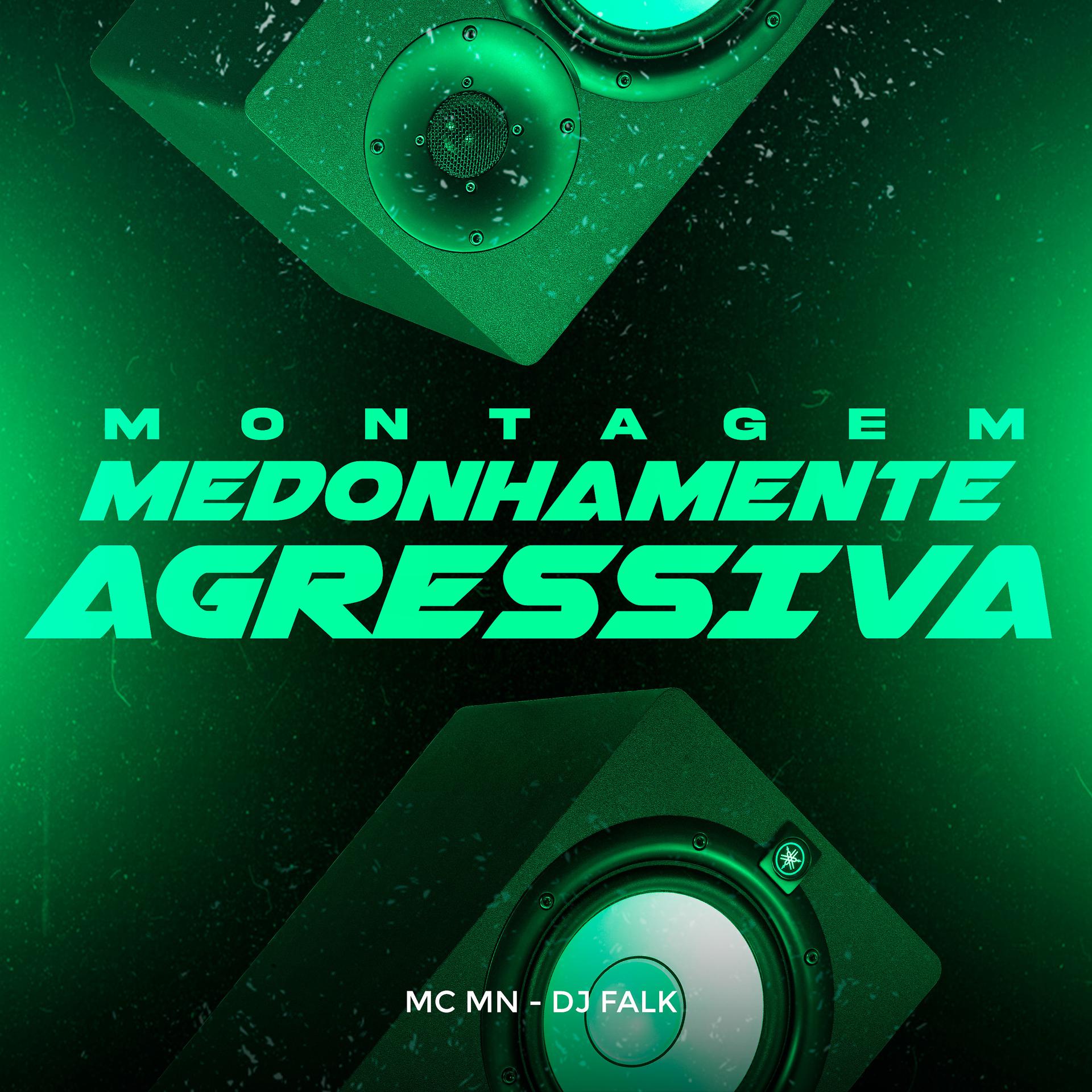 Постер альбома Montagem Medonhamente Agressiva
