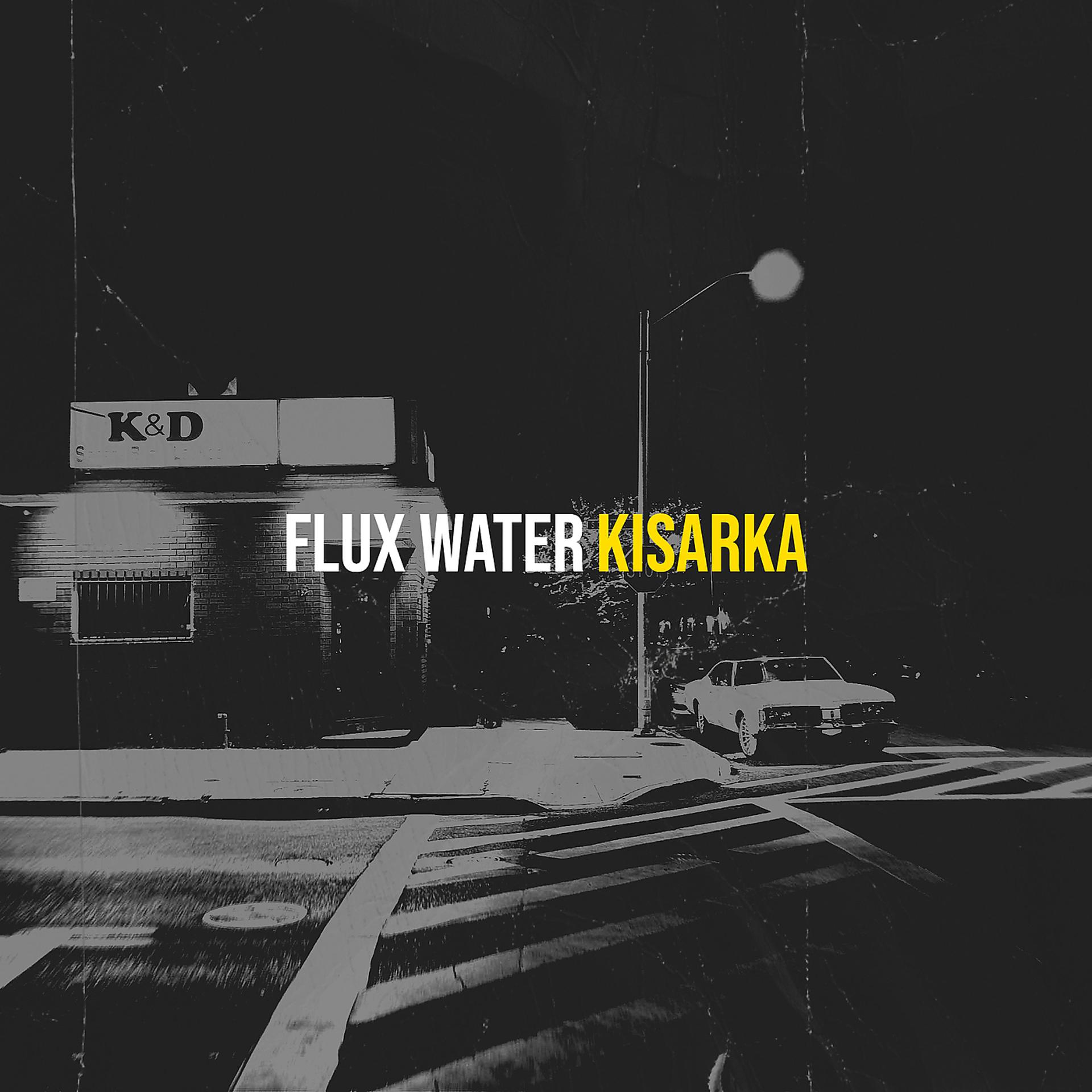 Постер альбома Flux Water