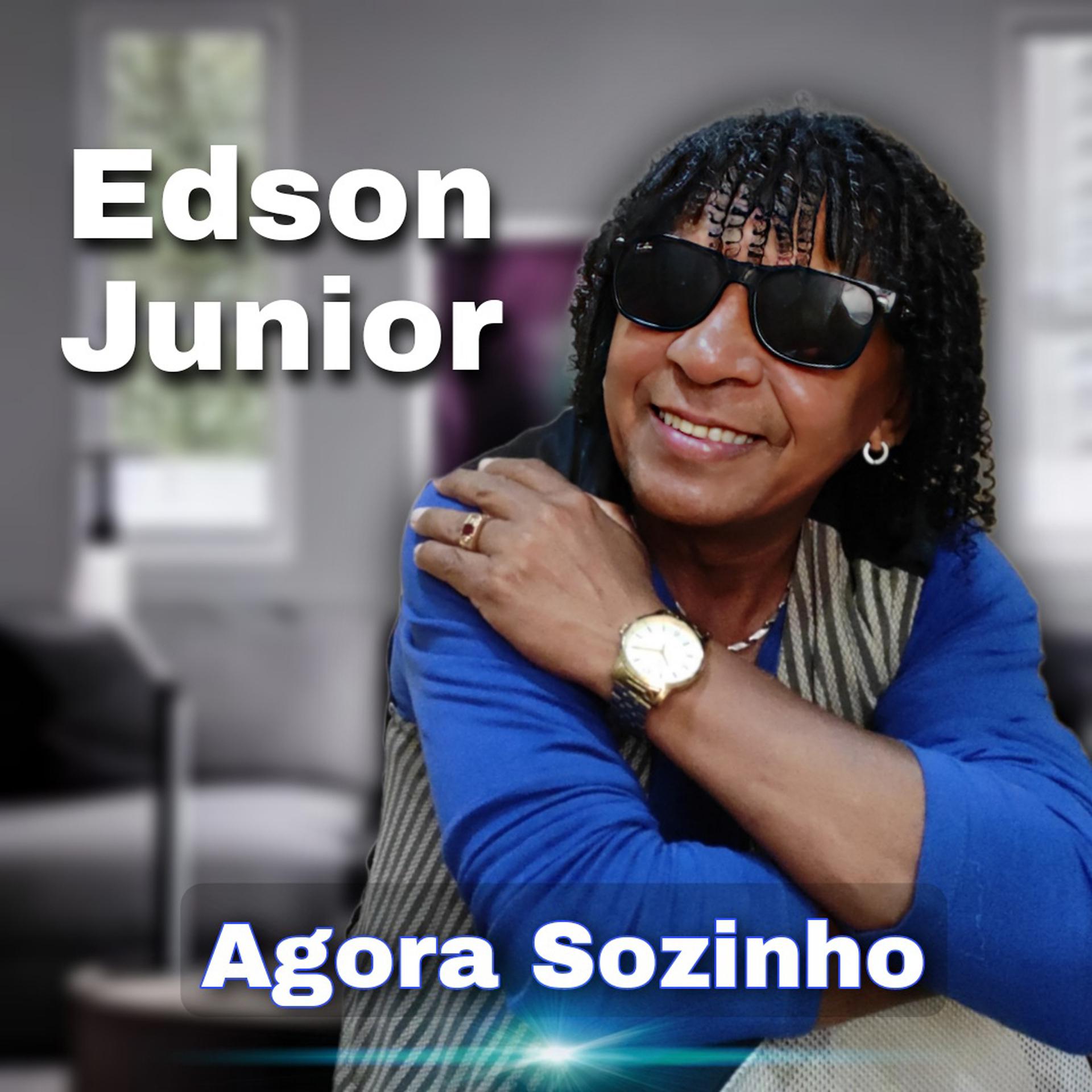 Постер альбома Agora Sozinho