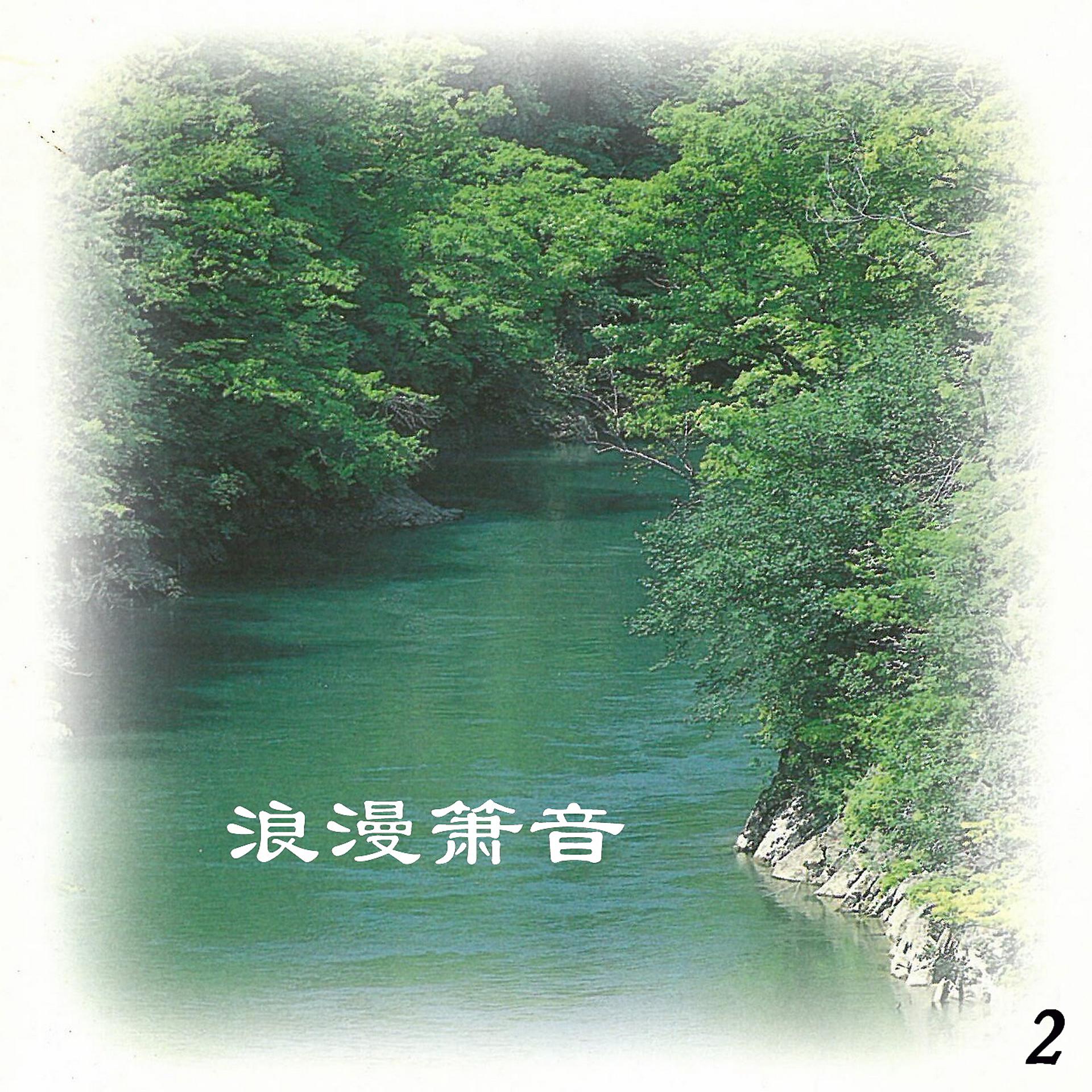Постер альбома 浪漫箫音 2