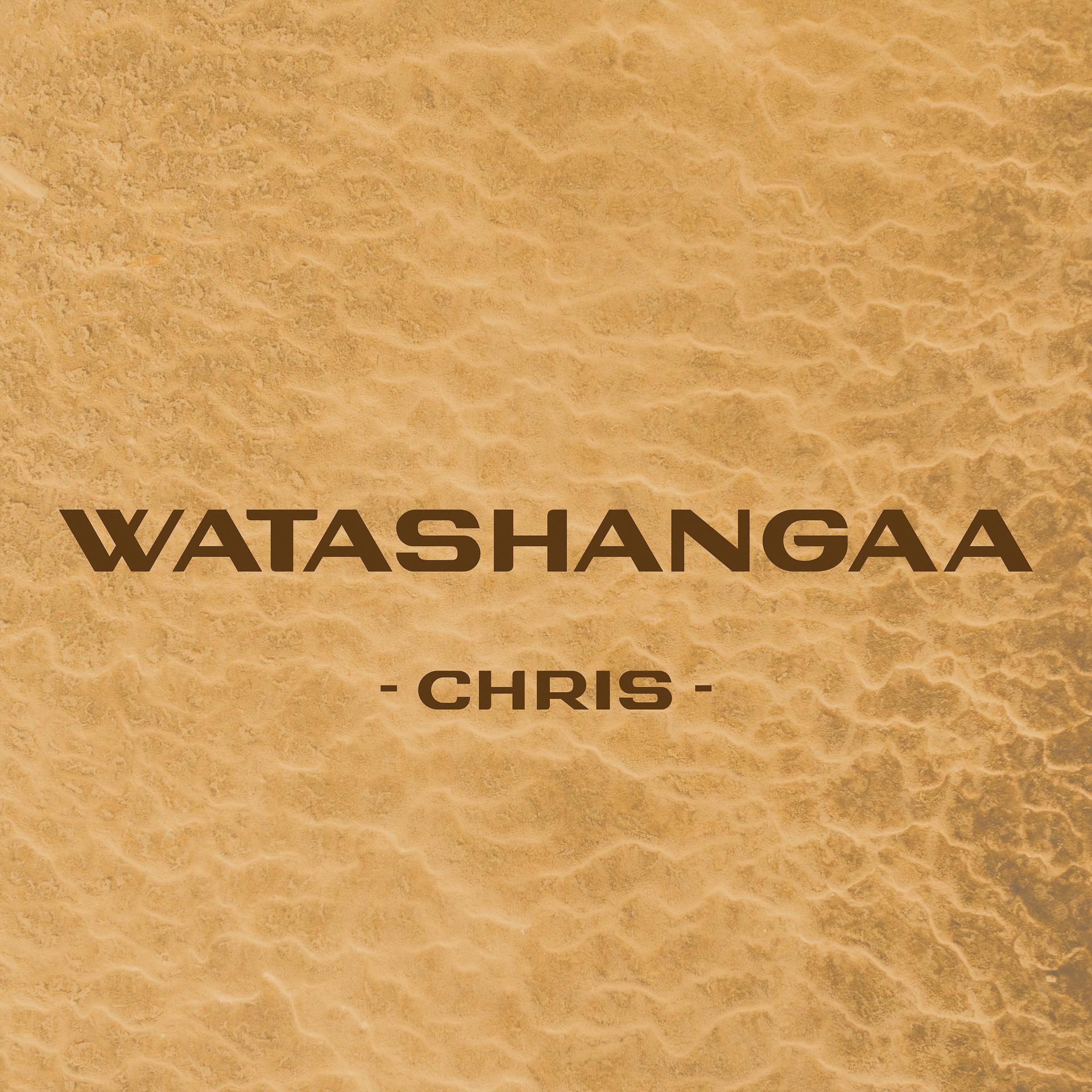 Постер альбома Watashangaa