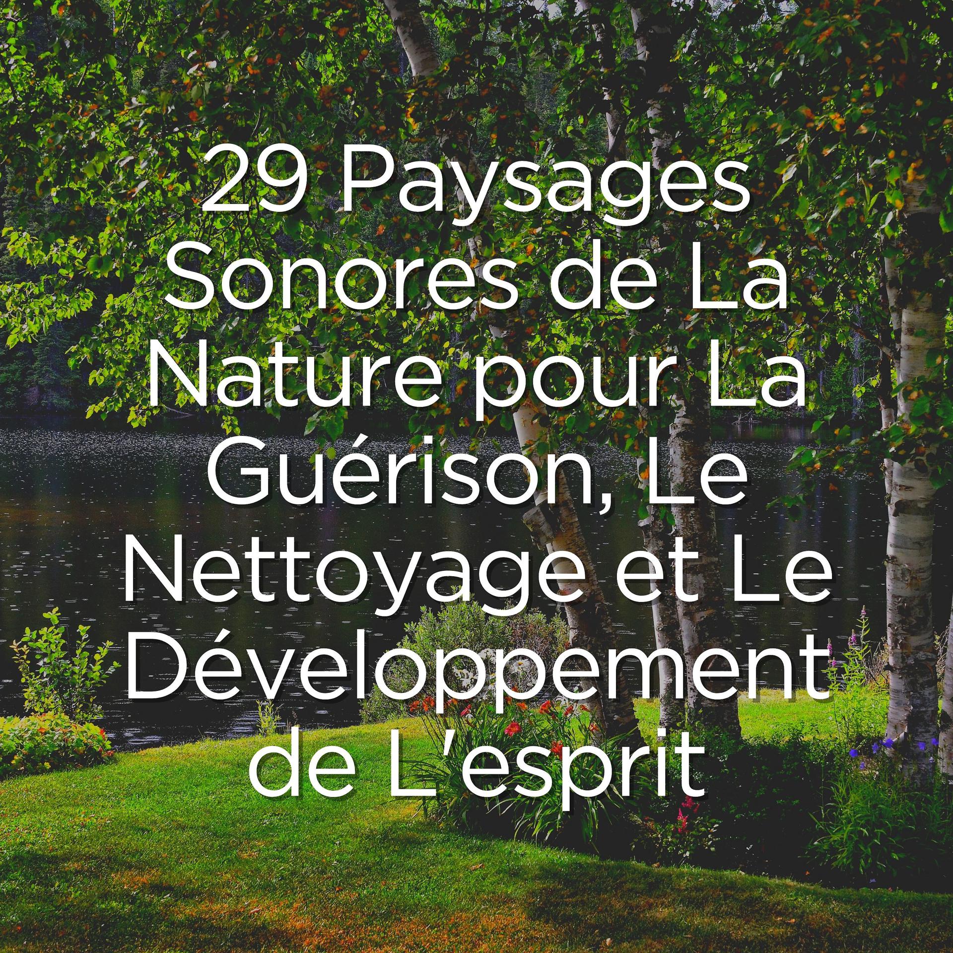 Постер альбома 29 Paysages Sonores de La Nature pour La Guérison, Le Nettoyage et Le Développement de L'esprit