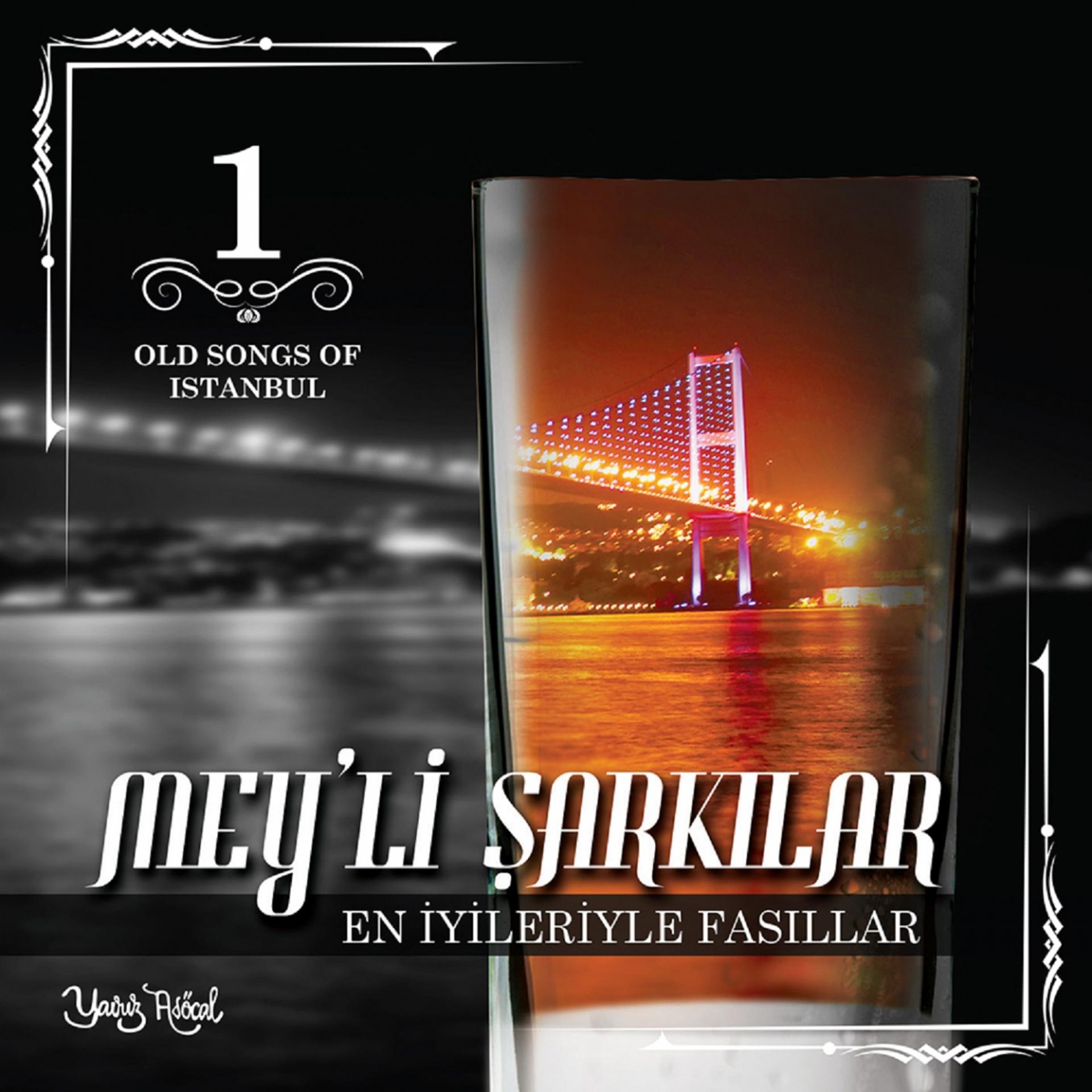 Постер альбома Meyli Şarkılar, Vol. 1