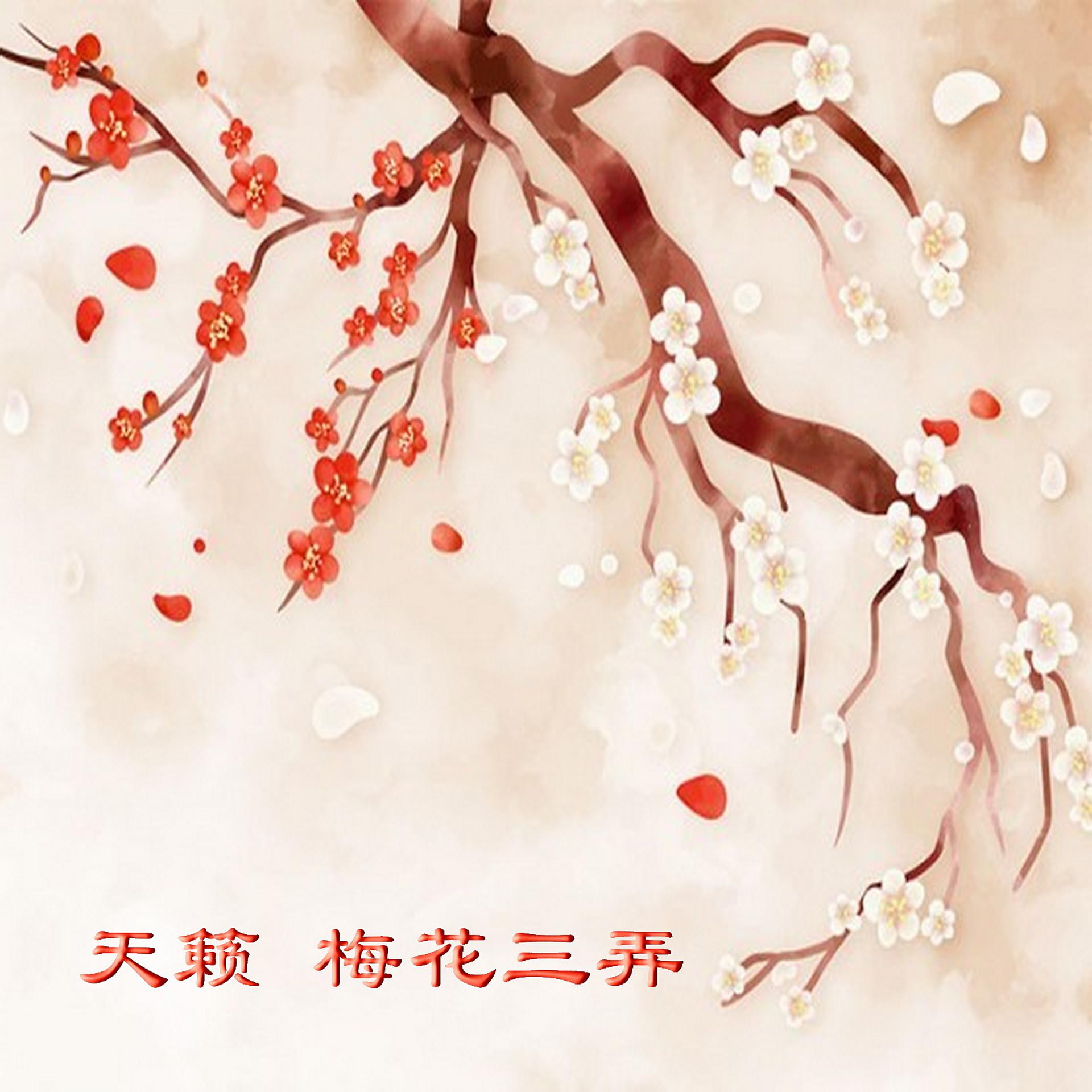 Постер альбома 天籁 梅花三弄