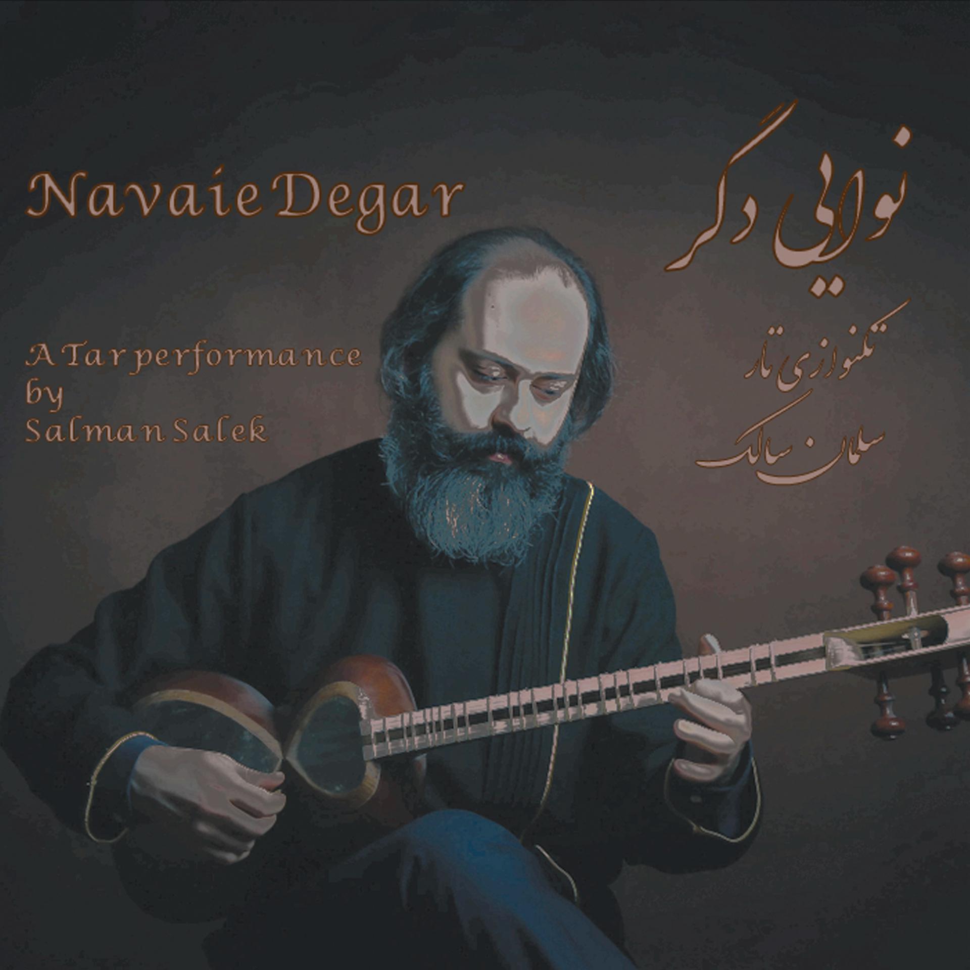 Постер альбома Navaie Degar - A Tar Performance by Salman Salek