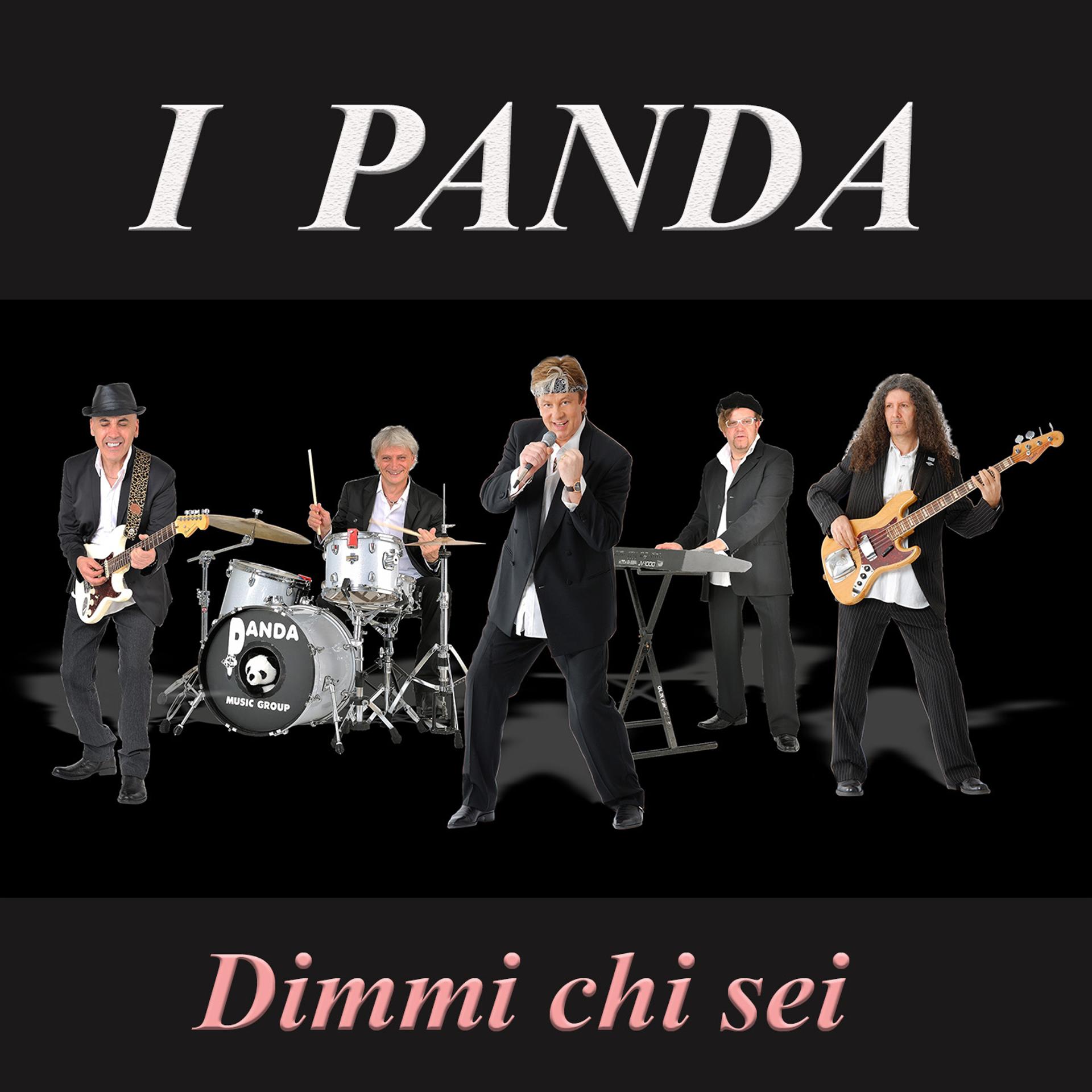 Постер альбома Dimmi chi sei