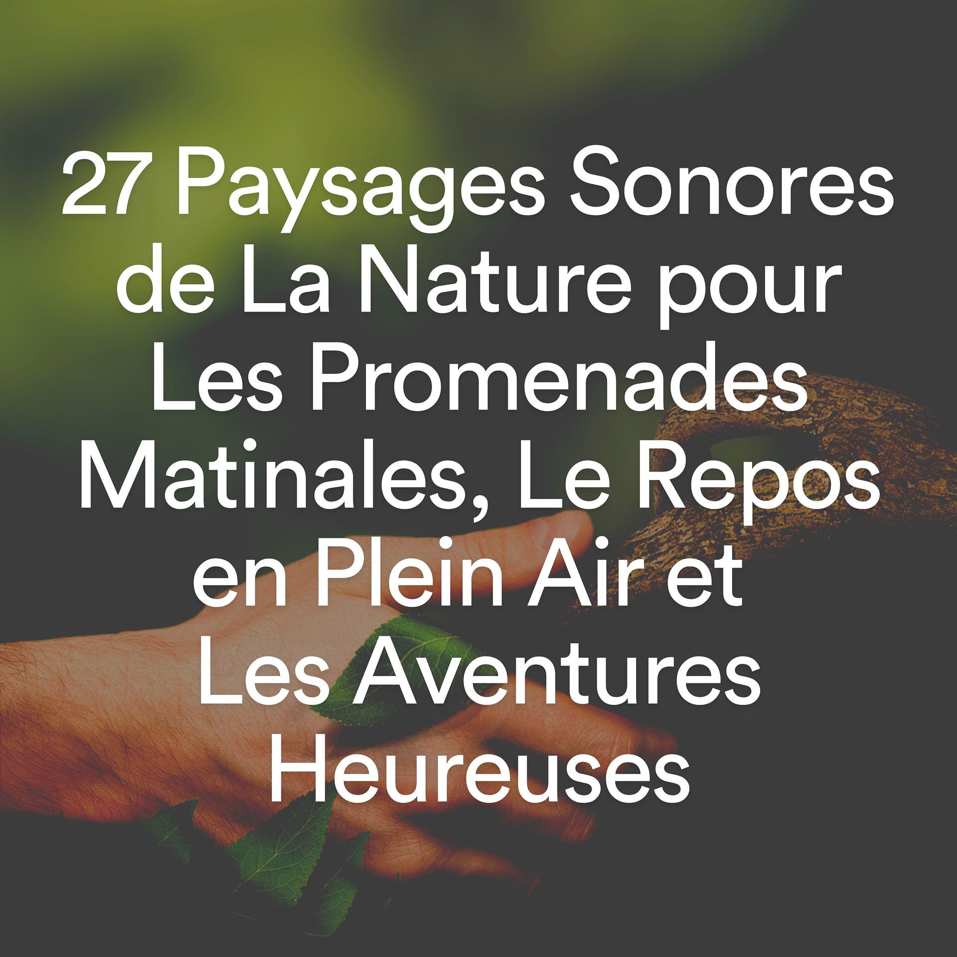 Постер альбома 27 Paysages Sonores de La Nature pour Les Promenades Matinales, Le Repos en Plein Air et Les Aventures Heureuses