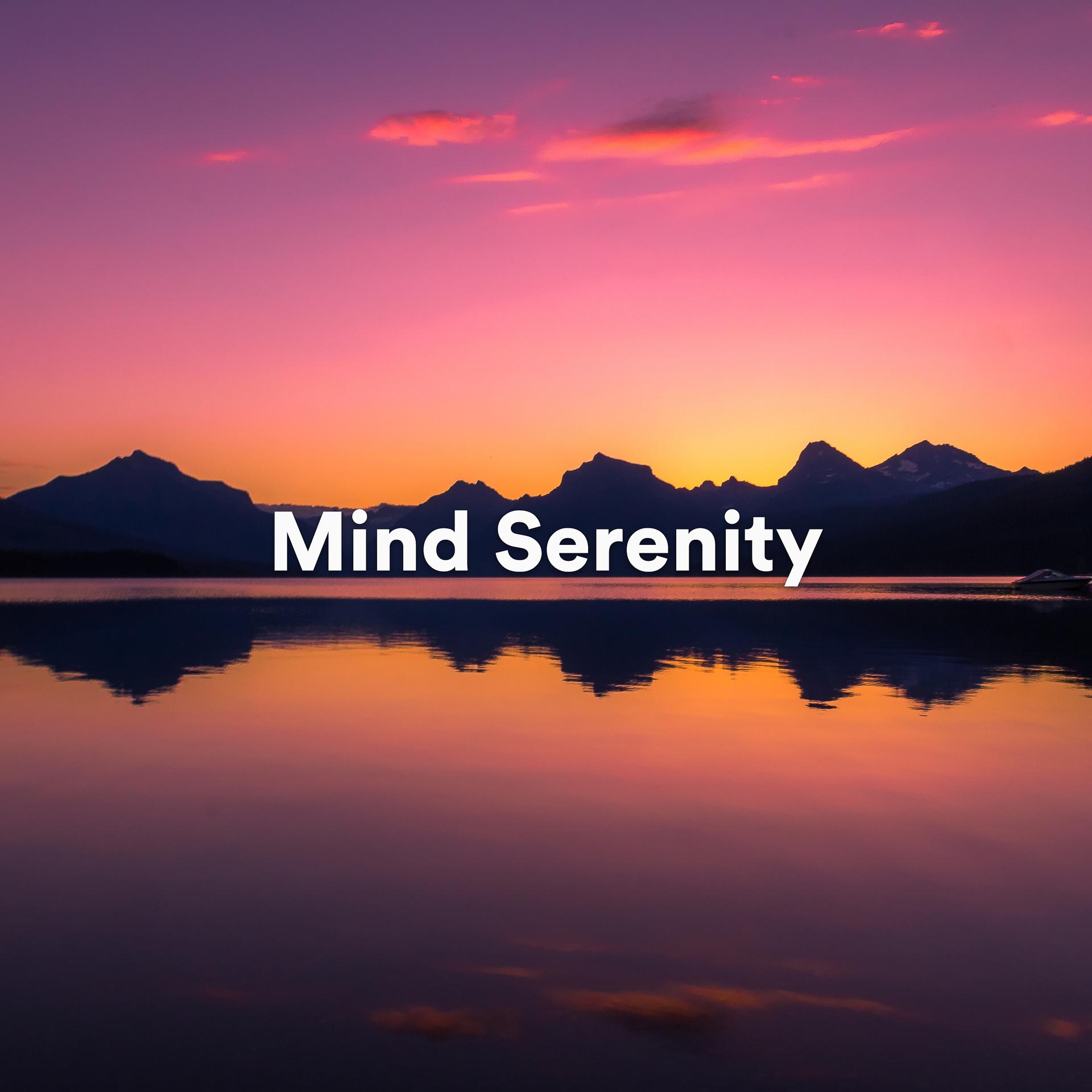 Постер альбома Mind Serenity